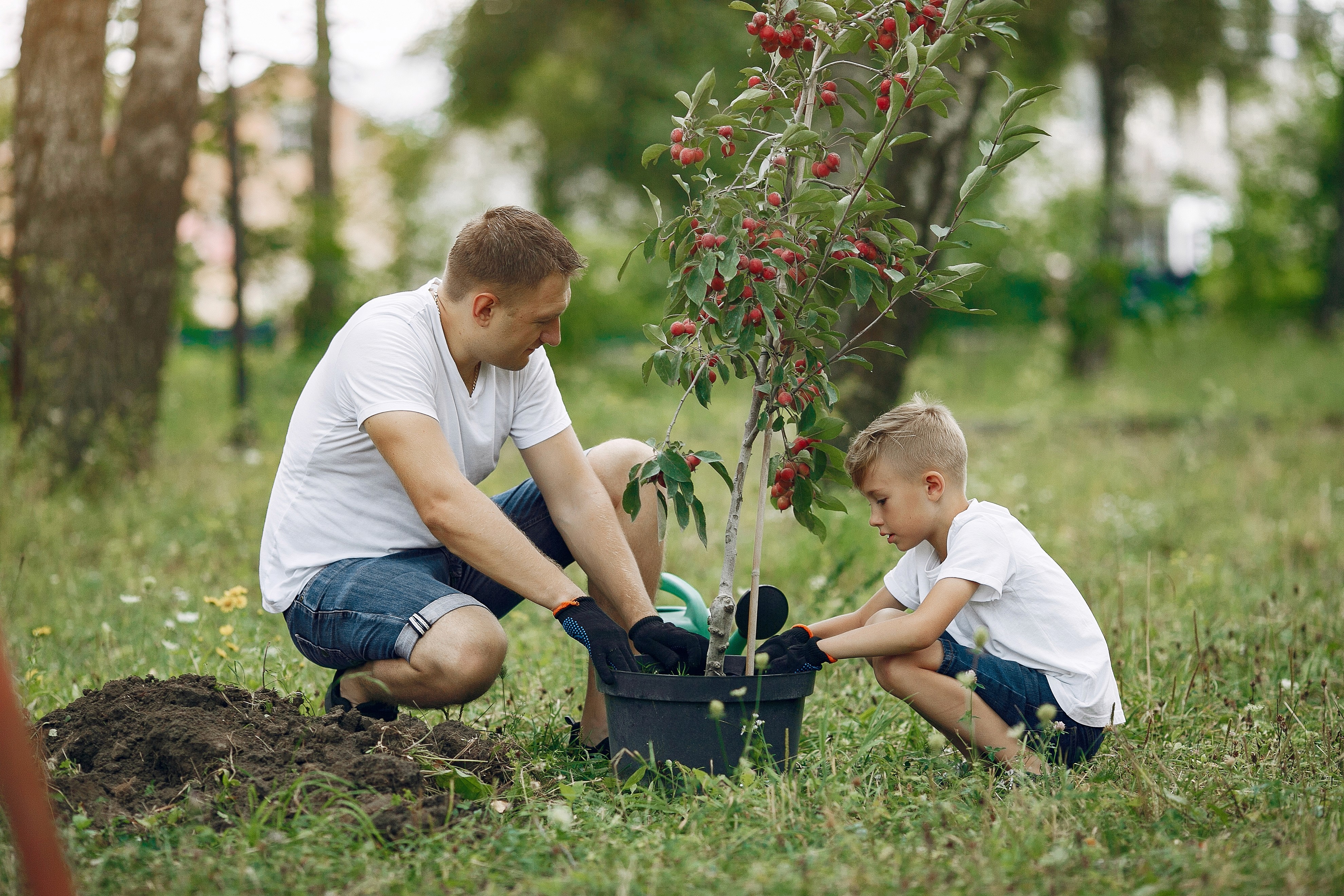 Parent and child planting a tree outdoors, showing screen-free family time, digital minimalism, and better mental health.