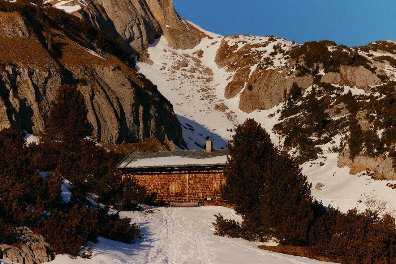 New Search Engines Banner