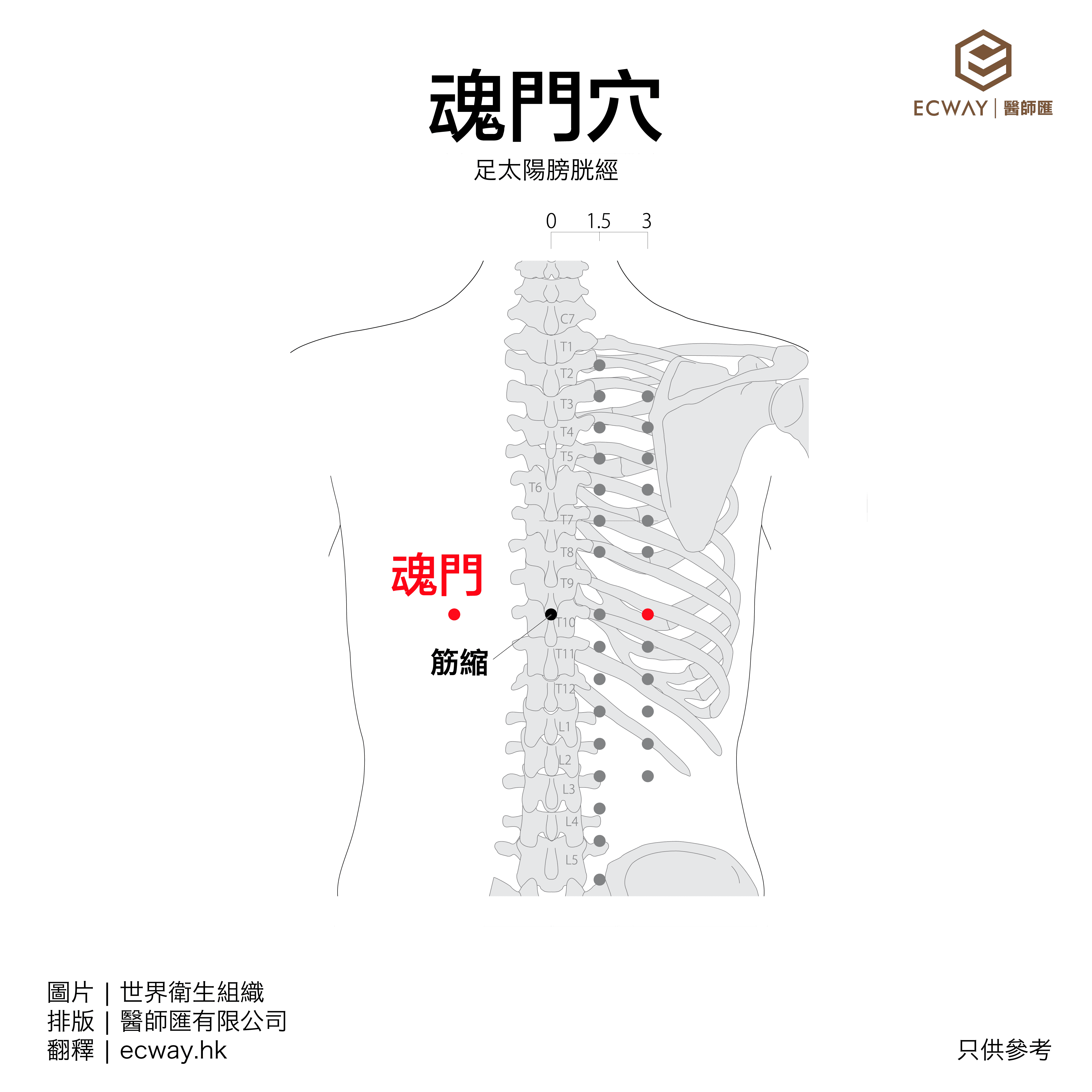 魂門穴