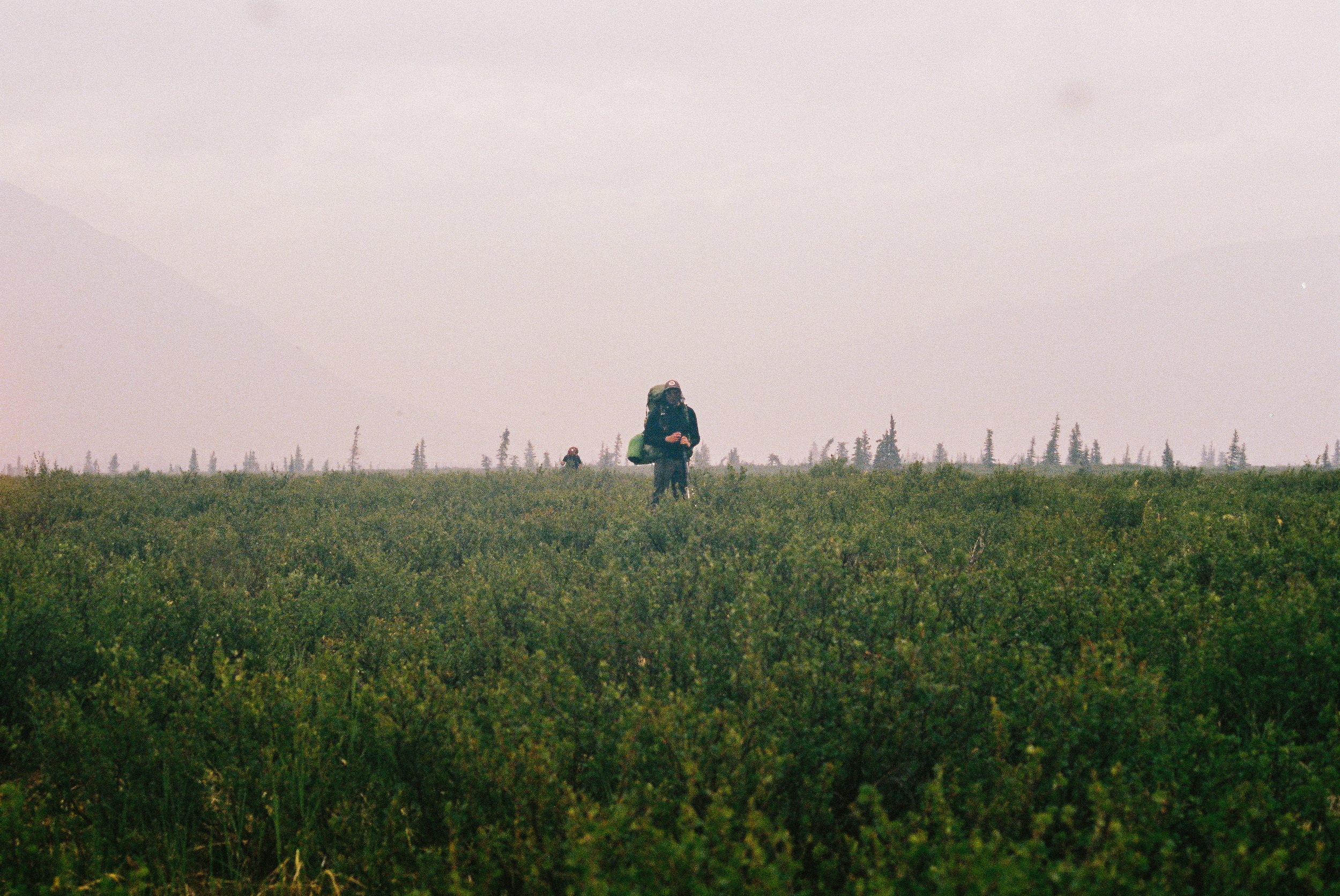 Posing in Denali National Park