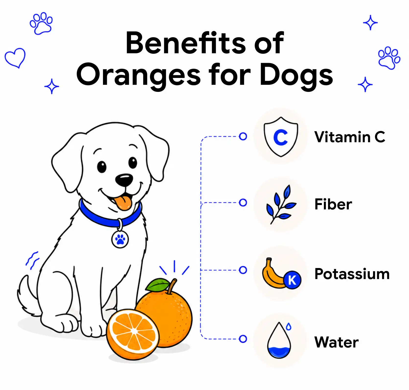 An inforgraphic showing the benefits of oranges for dogs.