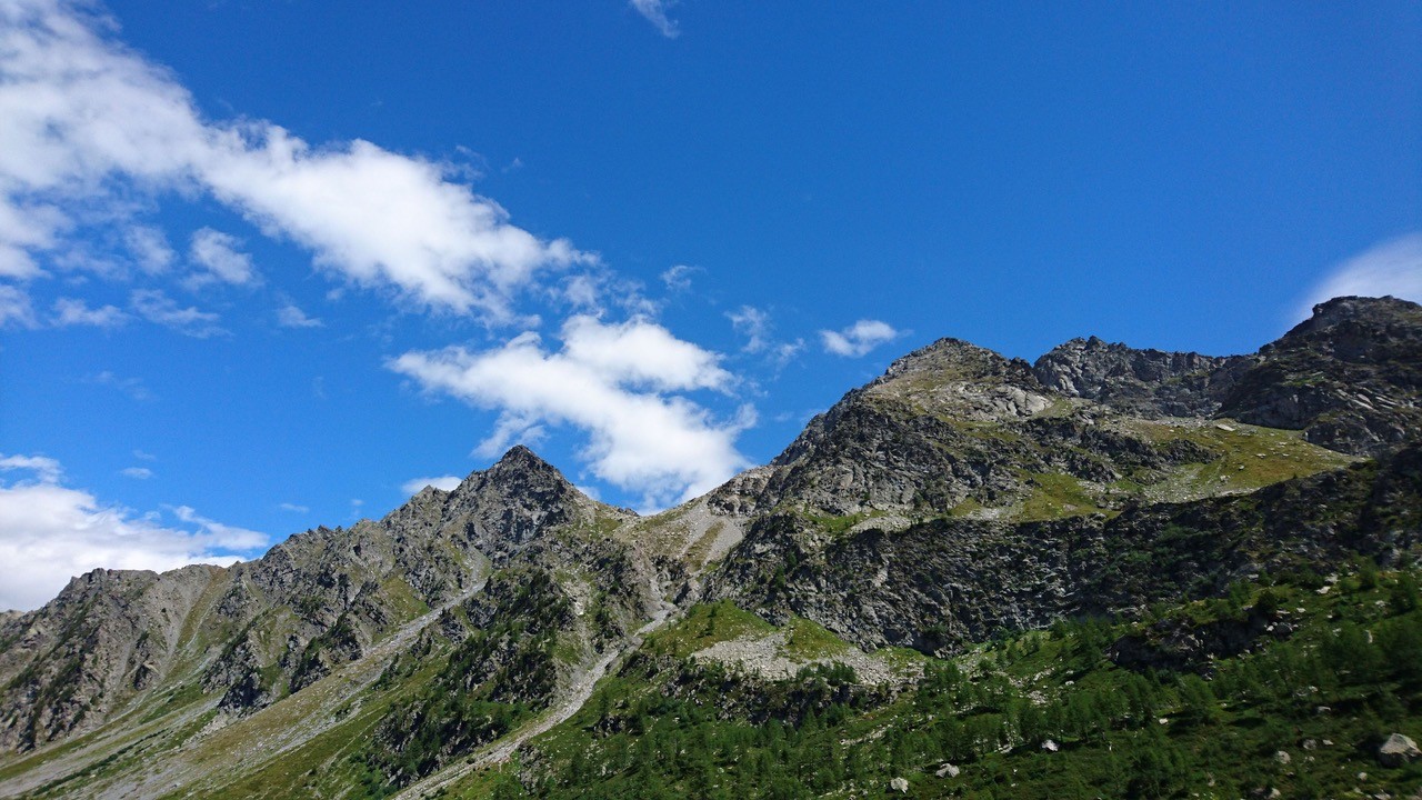 Projektregion Alpen