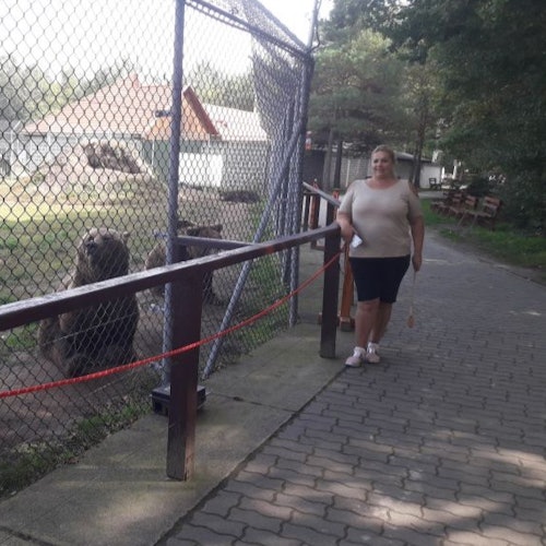bears with visitor