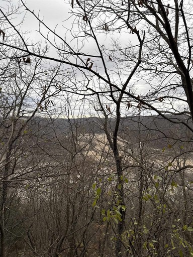 Photo 4 of 19 acres Old Hwy 61, Marion