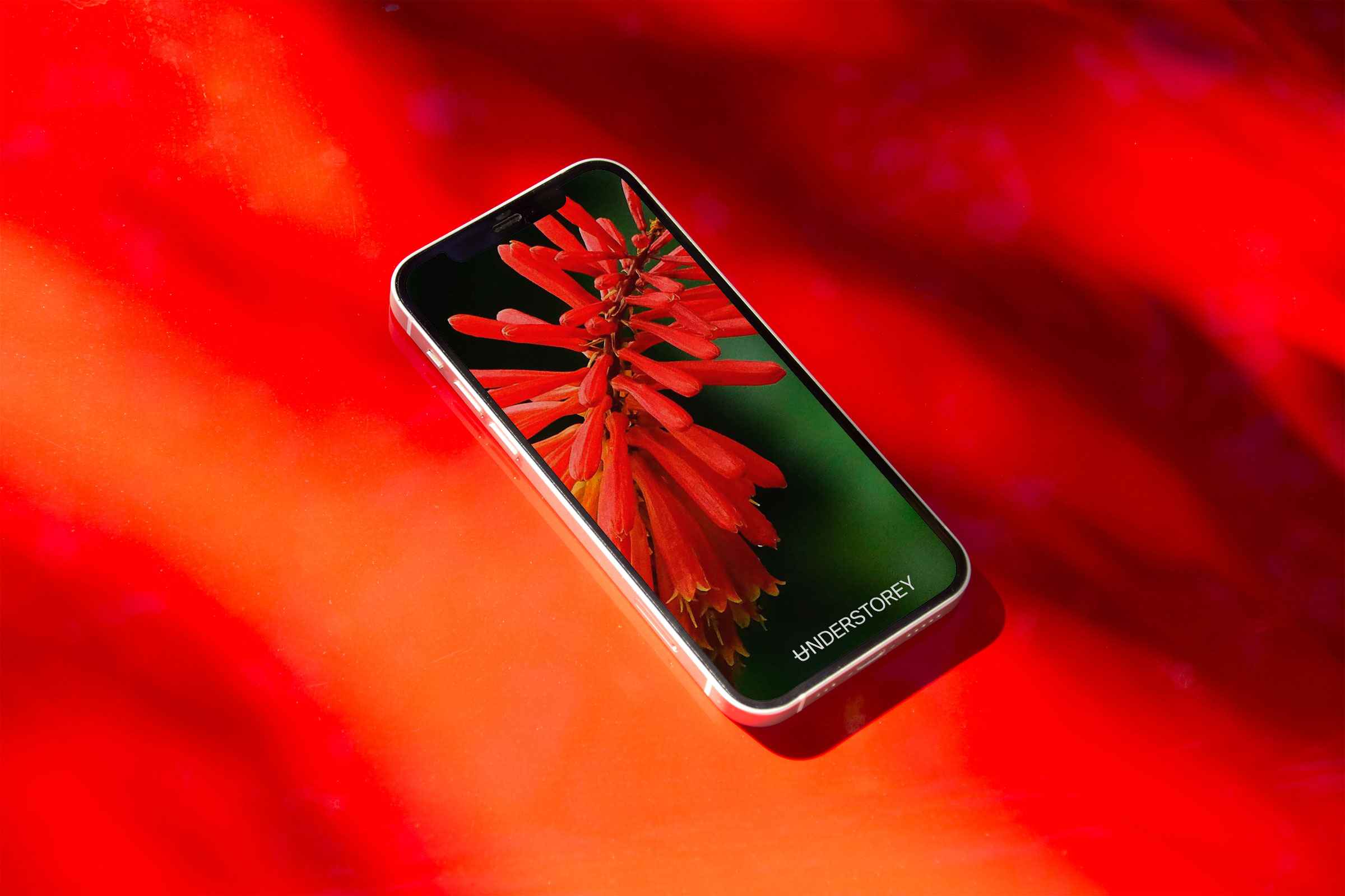 A smartphone resting on a red textured surface displaying a vibrant red leaf against a dark screen.