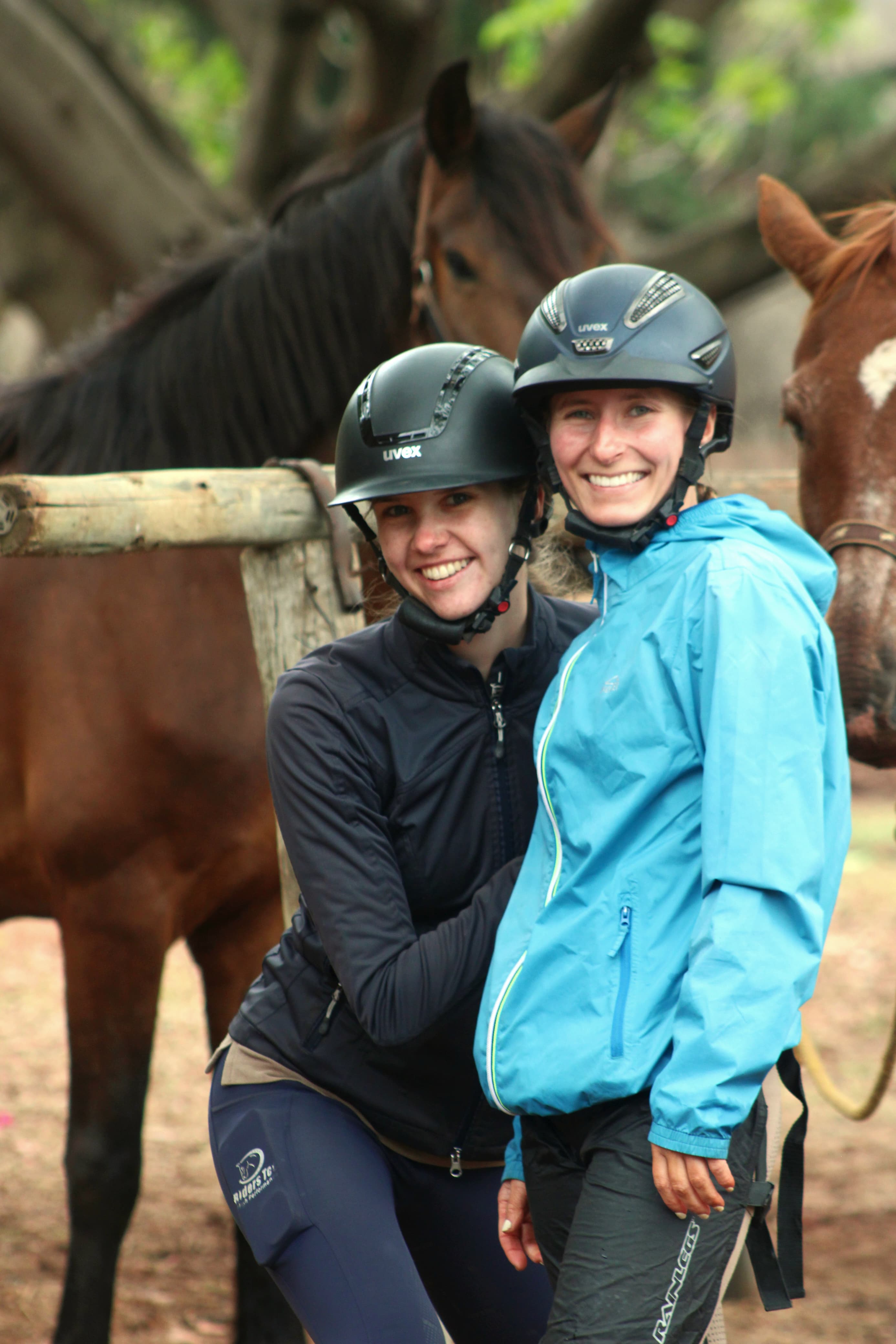 Kilimanjaro Elephant Ride, Arusha National Park, Tanzania – elefant i högt gräs tittar mot kameran, medan fem ryttare till häst på ridsafari i bakgrunden betraktar elefanten i ett grönt och frodigt landskap.