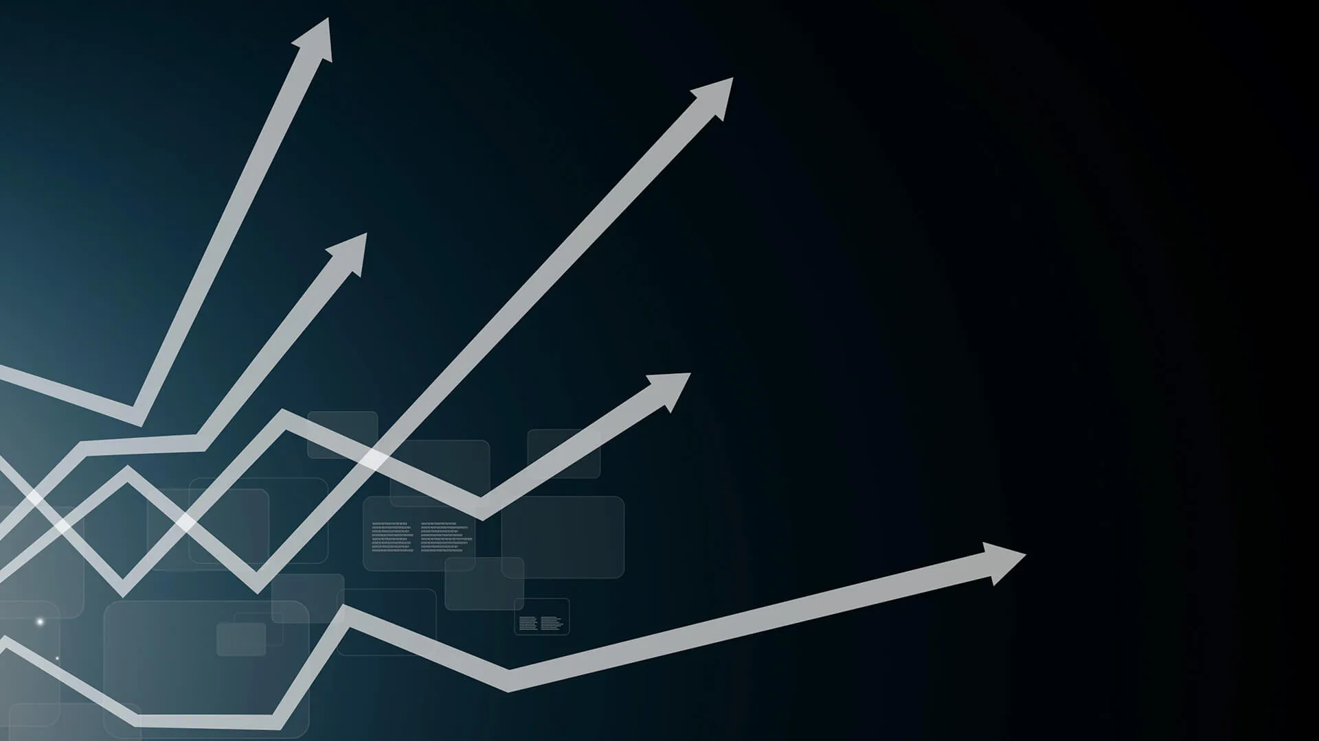 Growth & Marketing