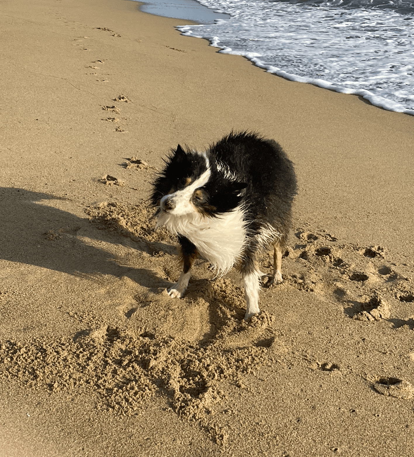 low angle view of a building