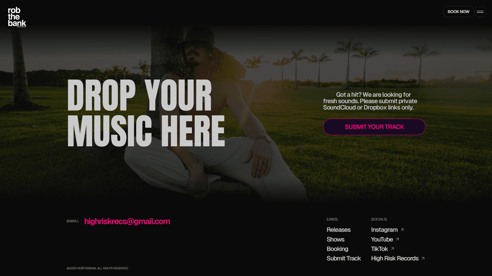 Rob the Bank music industry landing page engineered by AgencyFlux.