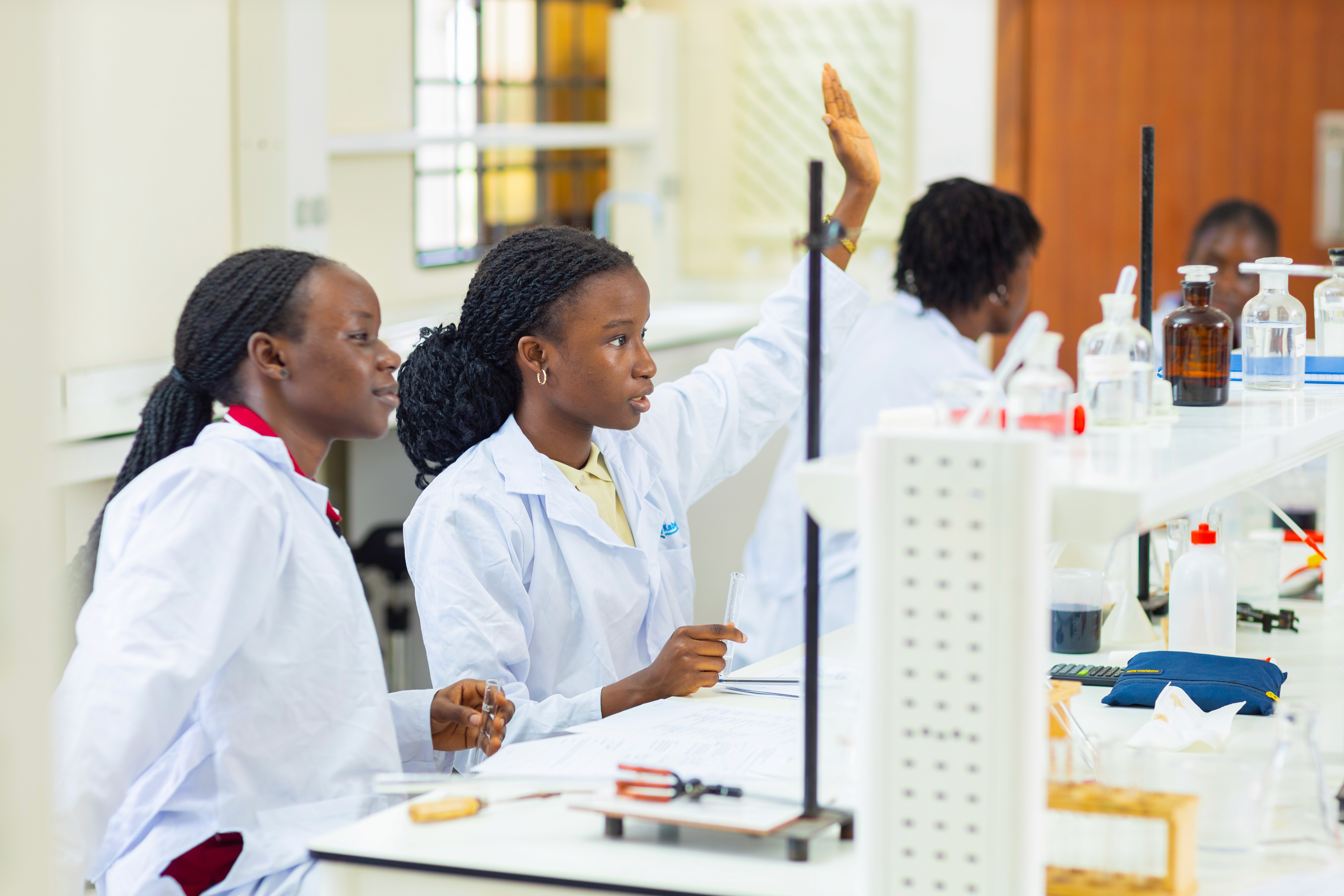 A school building stands against the backdrop of a clear sky