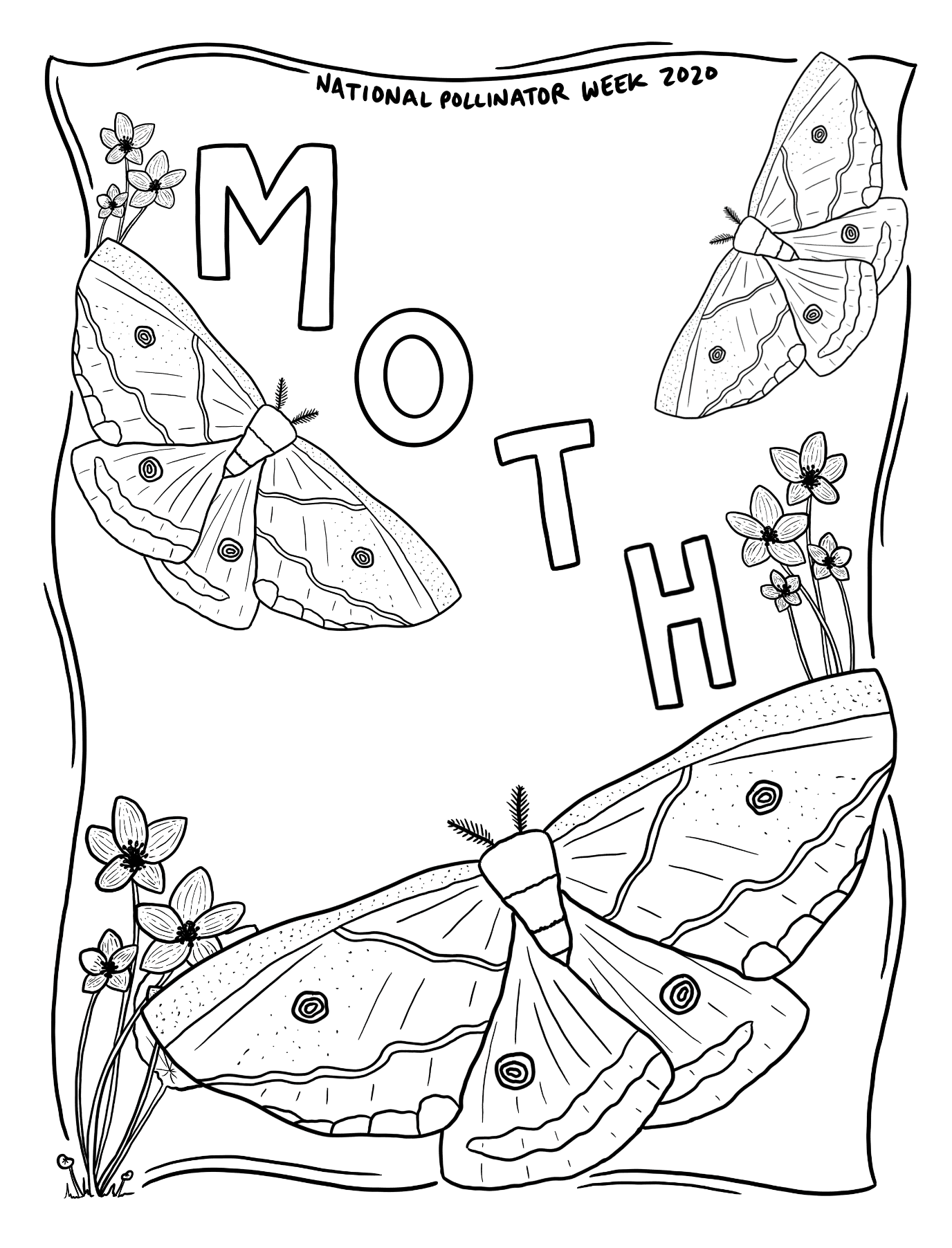 An illustrated coloring page of moths