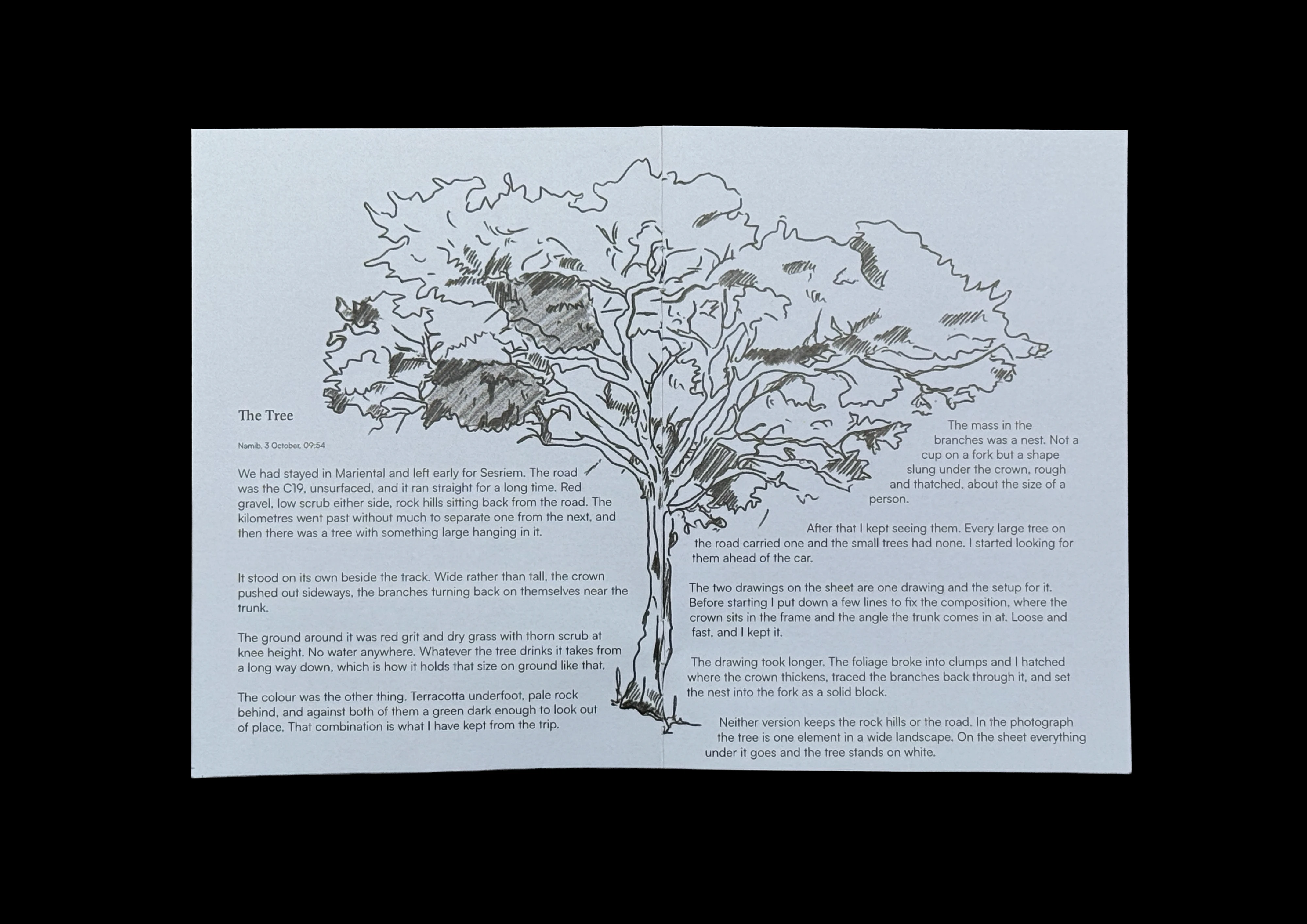 An open booklet with one large pencil drawing of a wide-crowned tree running across both pages, text set in columns around the trunk and under the branches.