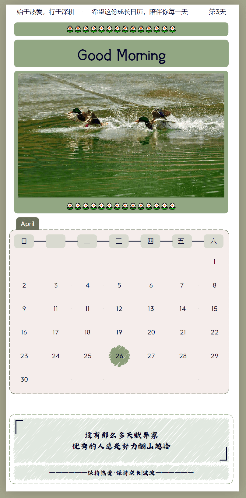 水面上游动的鸭子