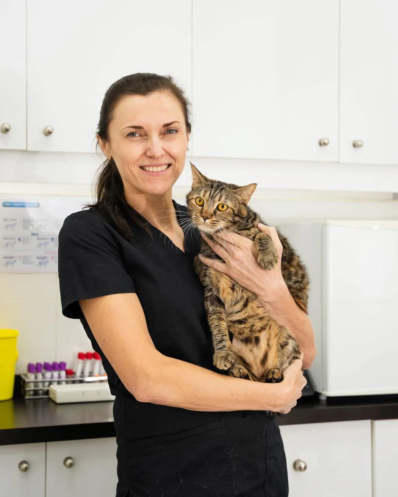 A veterinarian at Noble Veterinary Clinics holding one of our regular patients.