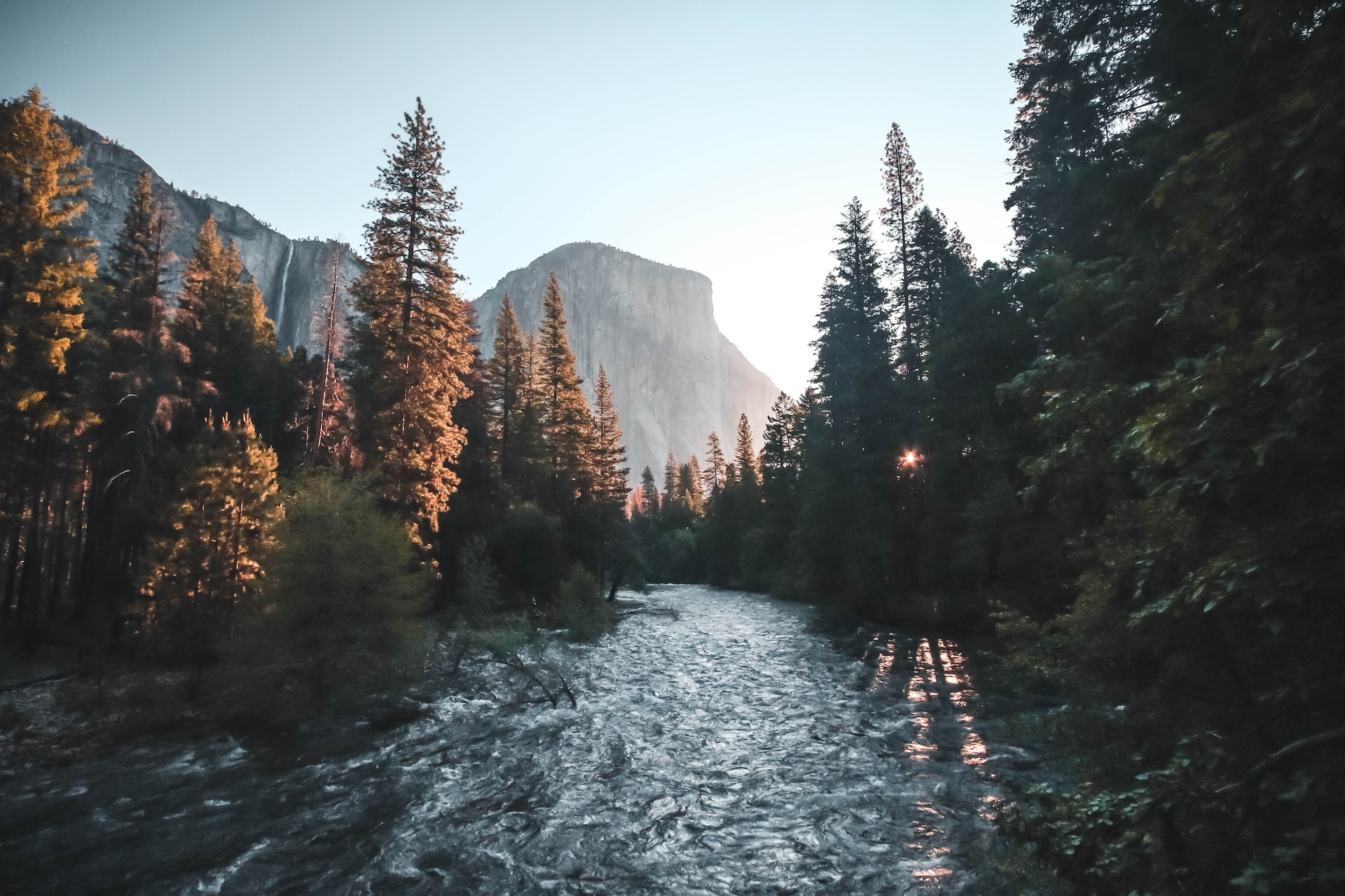 A stream between trees with the mountains of Yosemite Valley in the background.