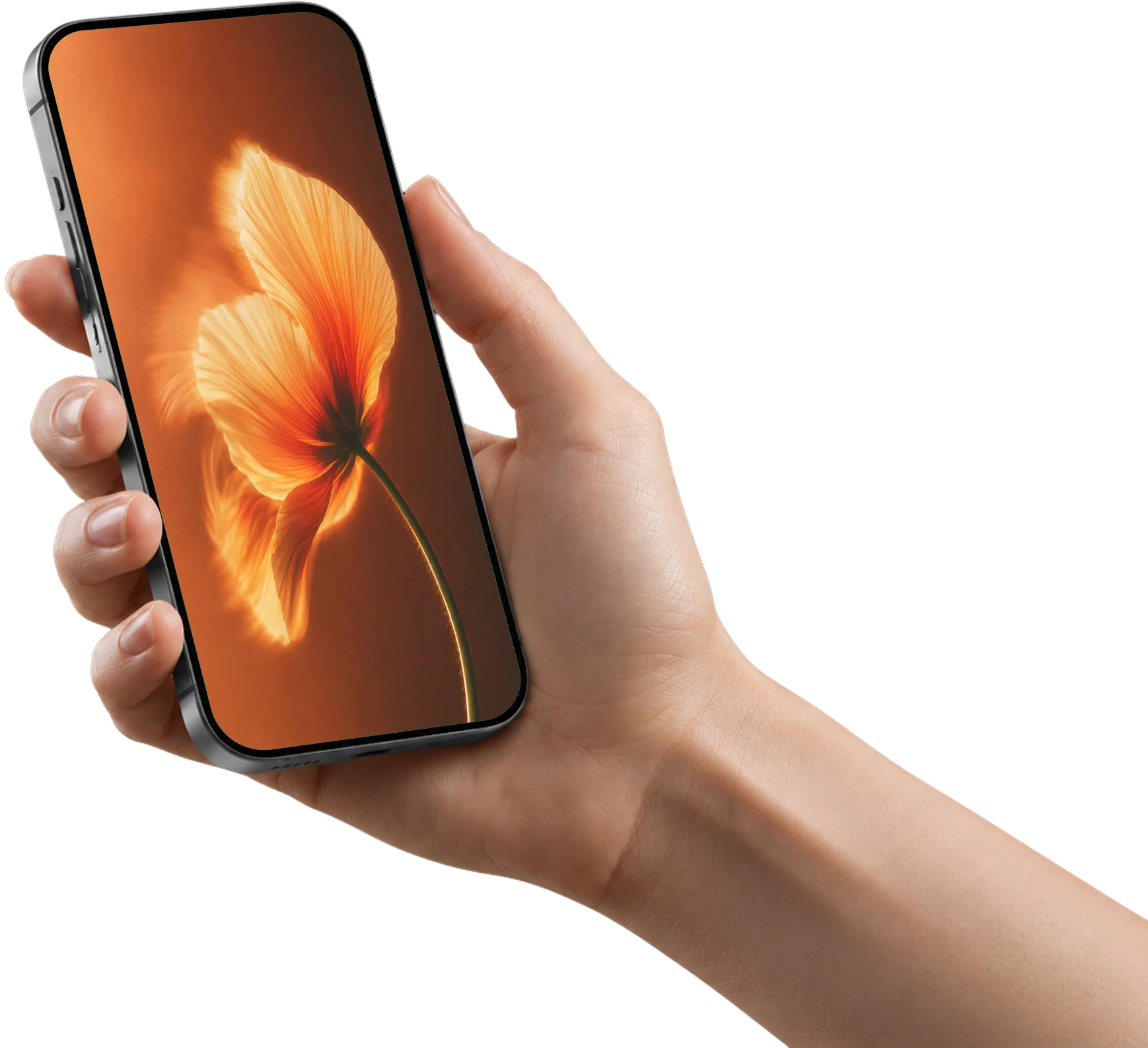 Hand holding a smartphone displaying a glowing orange poppy flower on screen
