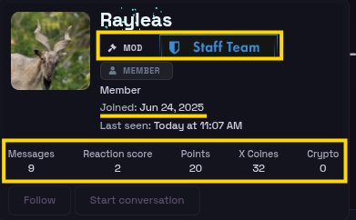 X Forums profile of “Rayleas” — Staff Team / MOD, joined 24 Jun 2025, 9 messages, reaction score 2.