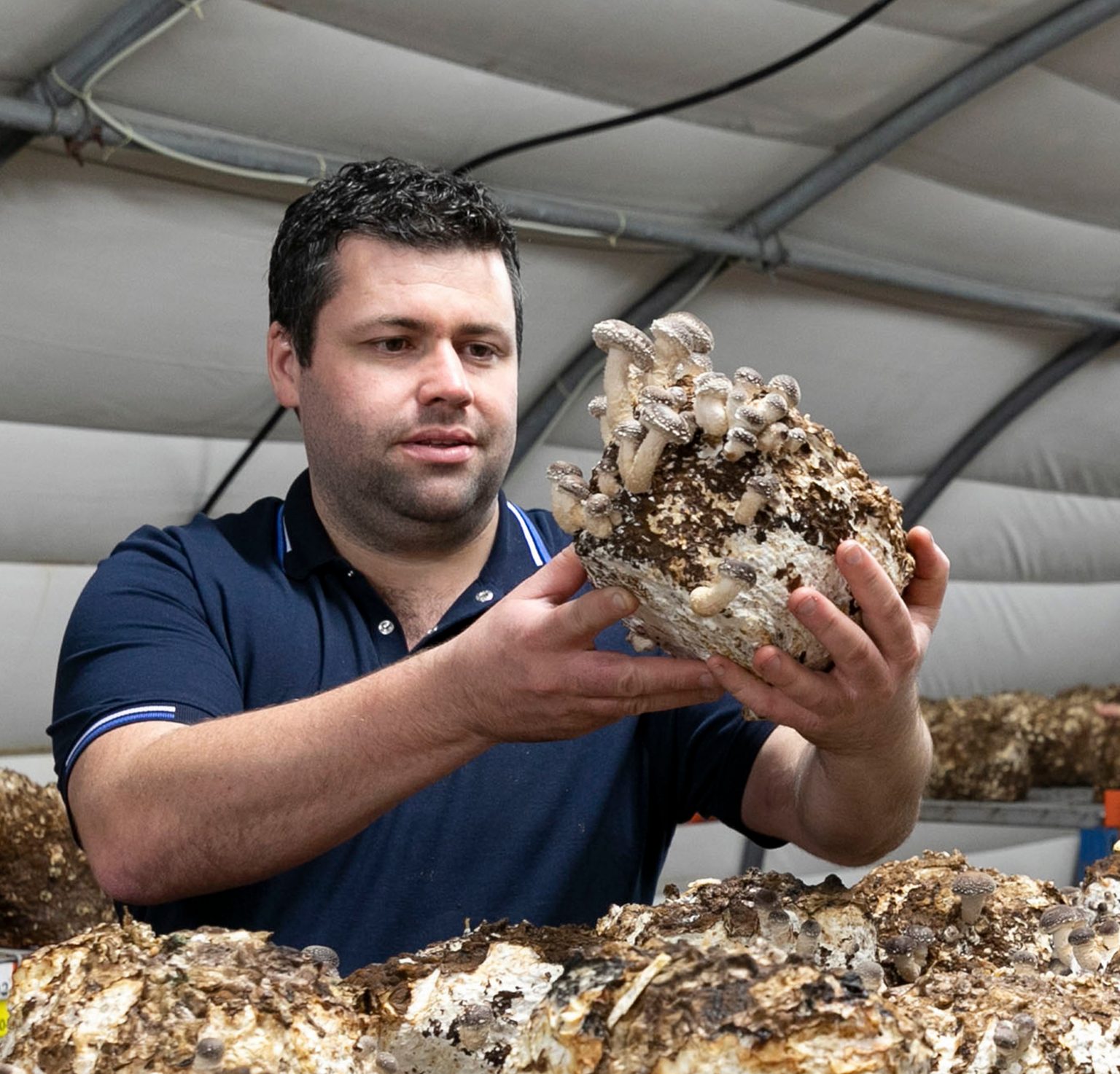 Owner of the Ard Mhacha Mushrooms Farm growing the best mushrooms to supply them to As One Restaurant Dublin