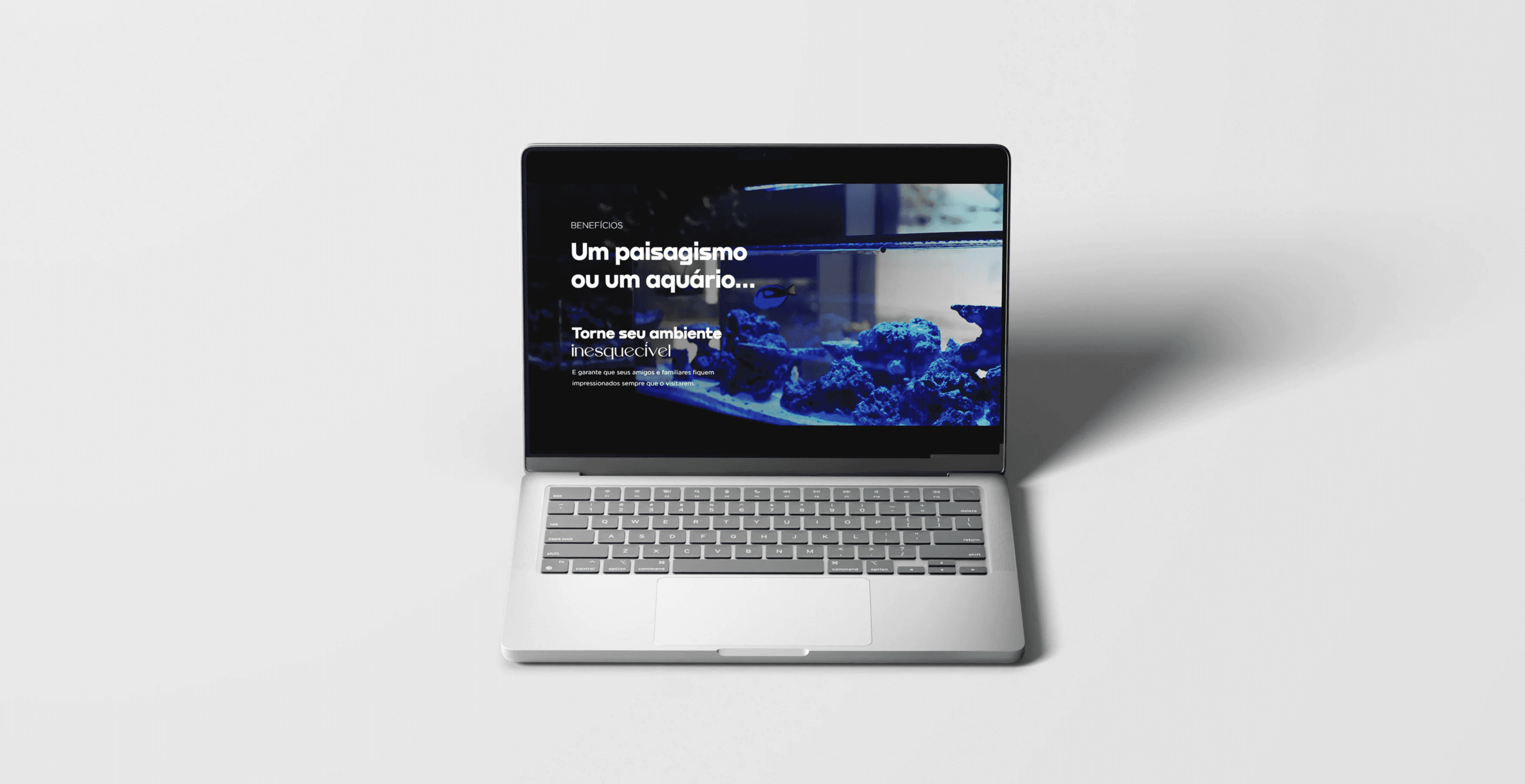 Project Gallery Image for 50% width of the screen #2