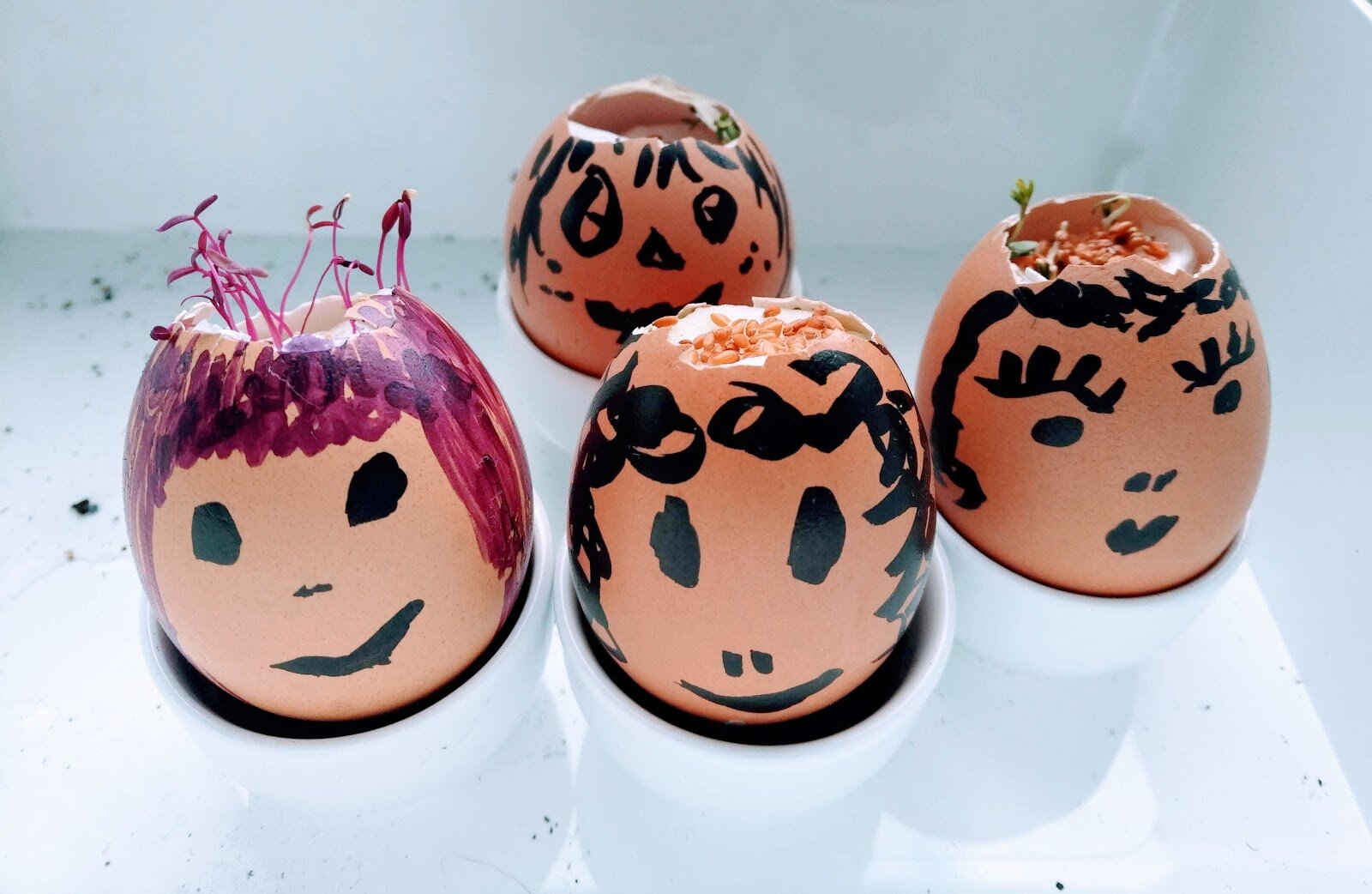  Vicky’s egg shell plant people.  