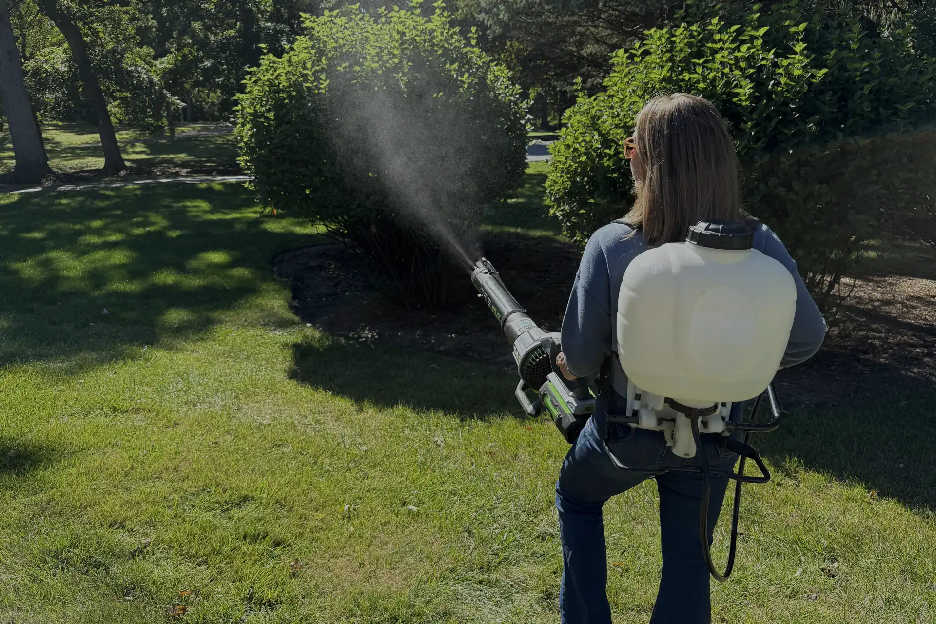 A person is spraying pesticides on a bush with a backpack sprayer in a sunny garden. They are standing on a lawn, surrounded by greenery and trees.