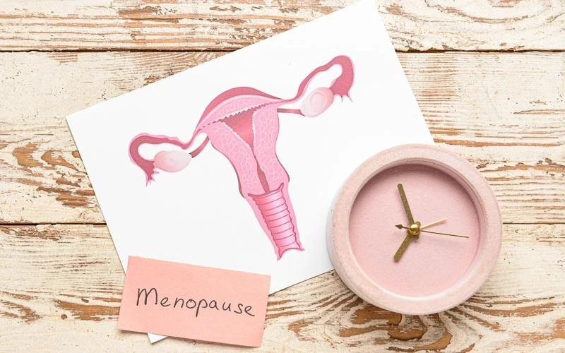  An illustration of the female reproductive system lies on a wooden surface next to a small pink clock. A note labelled “Menopause” highlights the theme of reproductive health and time.
