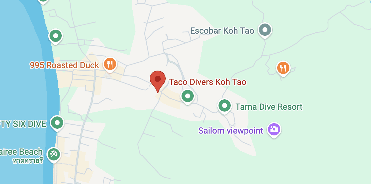 taco divers koh tao scuba diving shop location