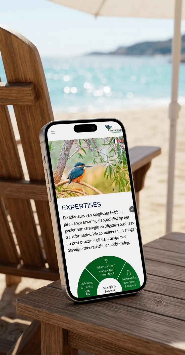 Professioneel website ontwerp en visuele identiteit voor adviesbureau