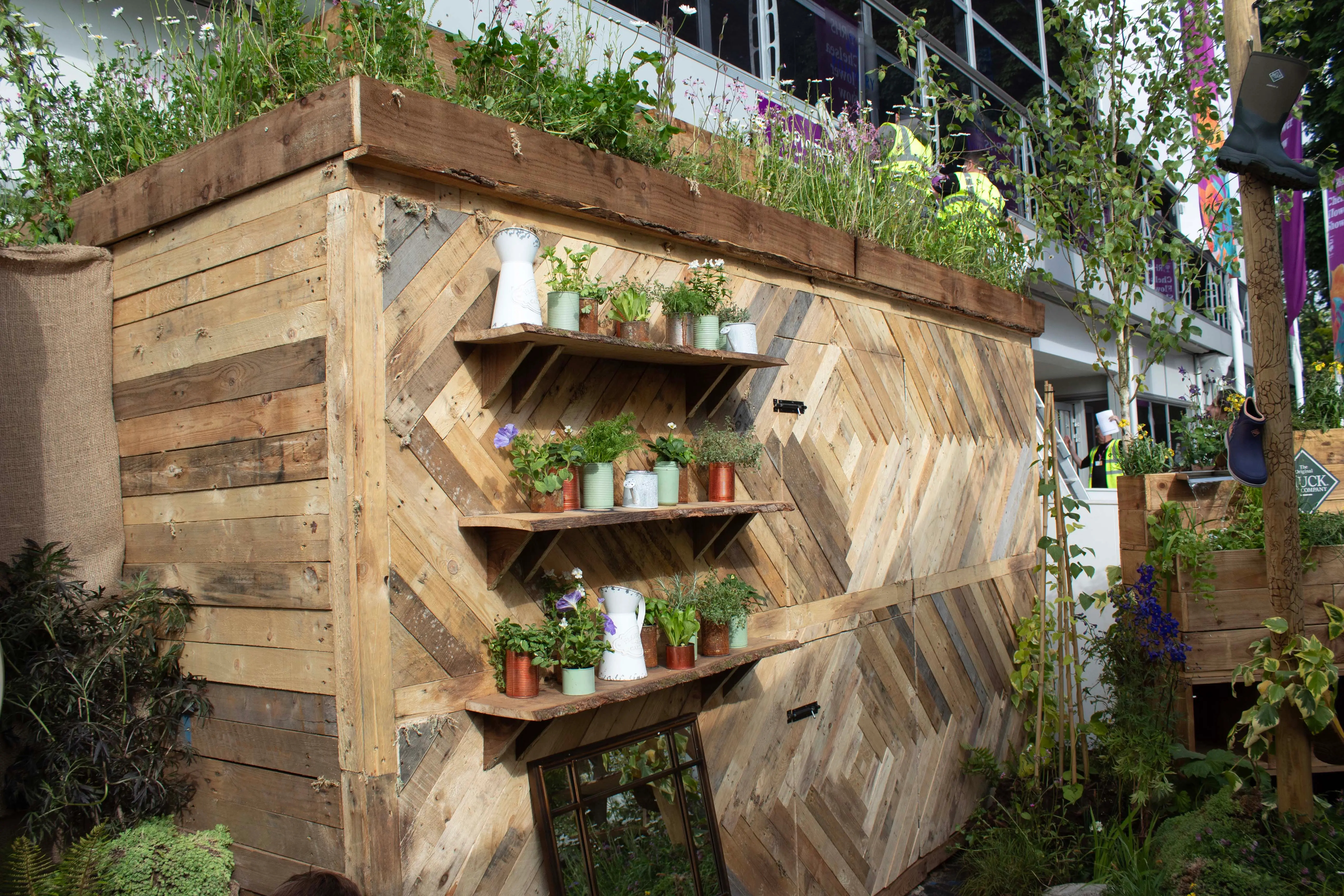 A vertical garden featuring shelves with various green plants in a modern indoor setting.