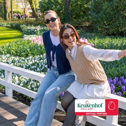 Mga patlang ng tulipan