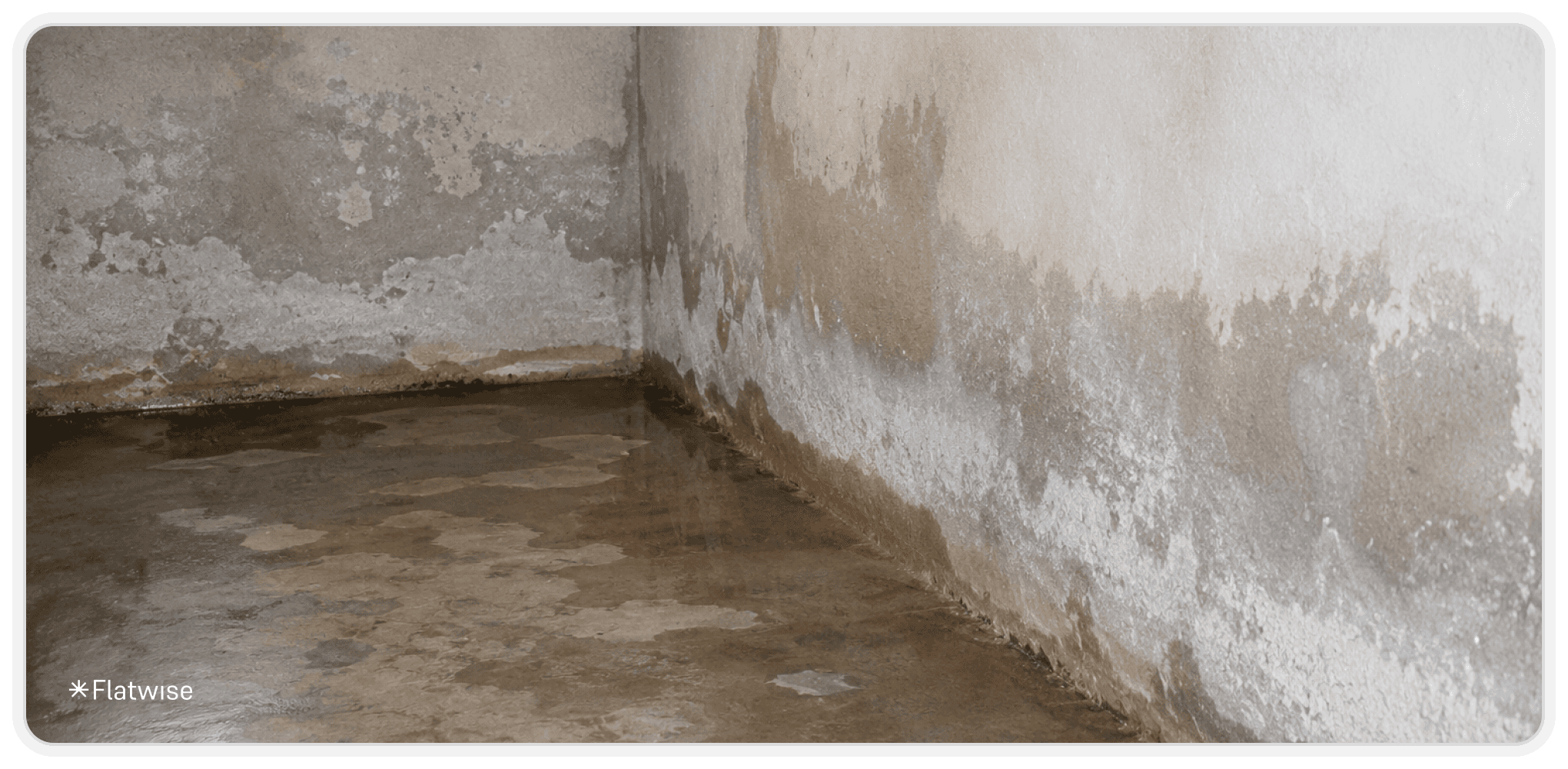 Ein leerer Kellerraum mit deutlich sichtbaren Feuchtigkeitsschäden an den Wänden. Wasserflecken, Ausblühungen und feuchte Stellen erstrecken sich entlang der unteren Wandbereiche, während der Betonboden stellenweise nass erscheint.