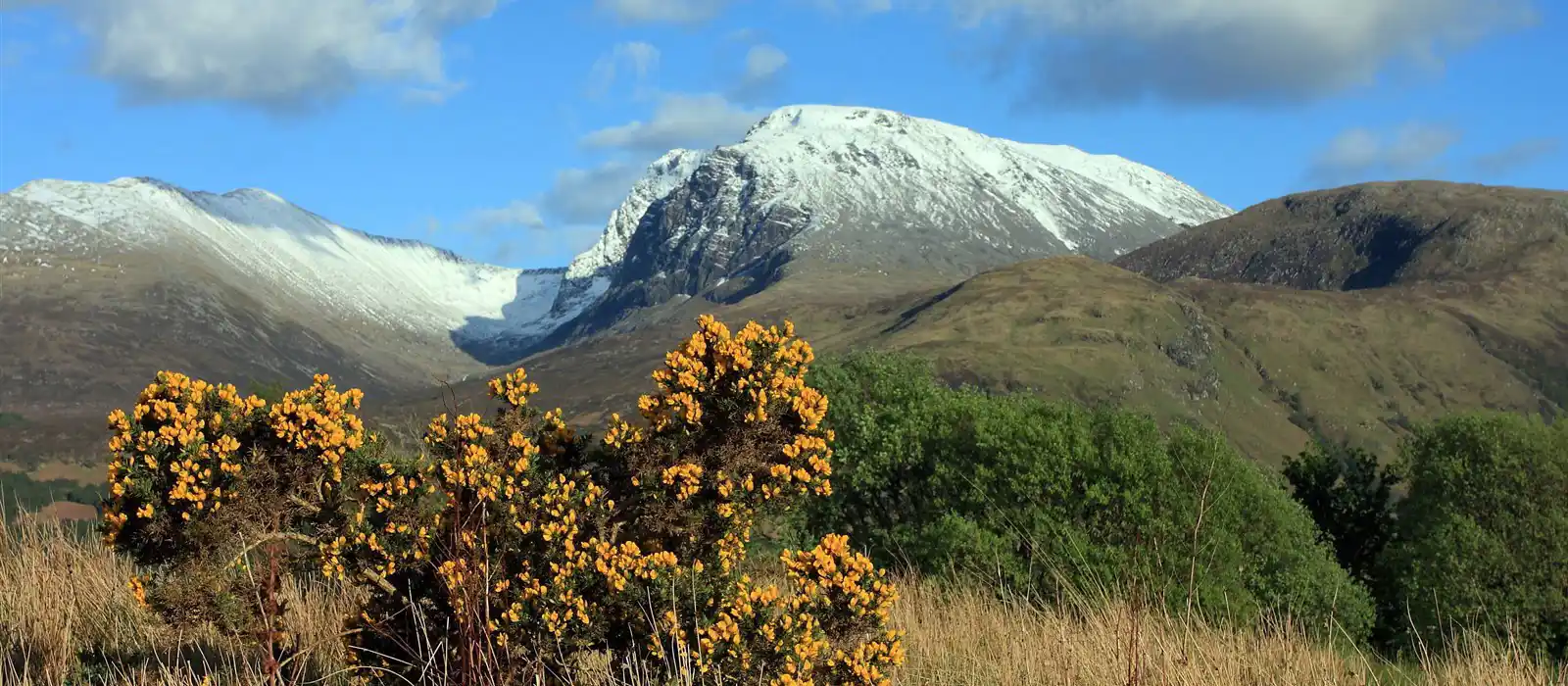 snow covered mountains under blue sky during daytime