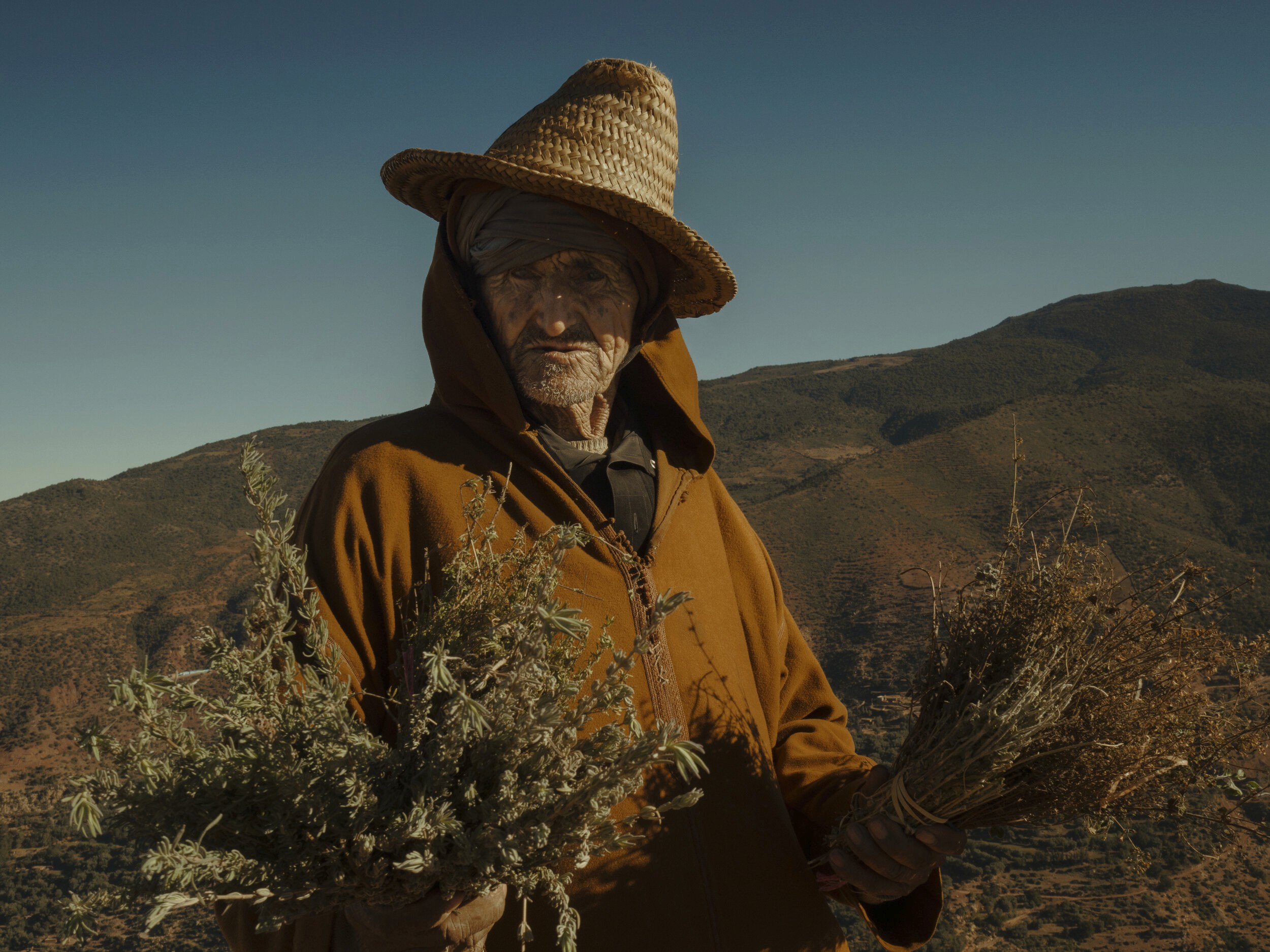 Elderly man in a woven hat holding herbs, standing in Morocco’s mountains with a rugged face and traditional attire.