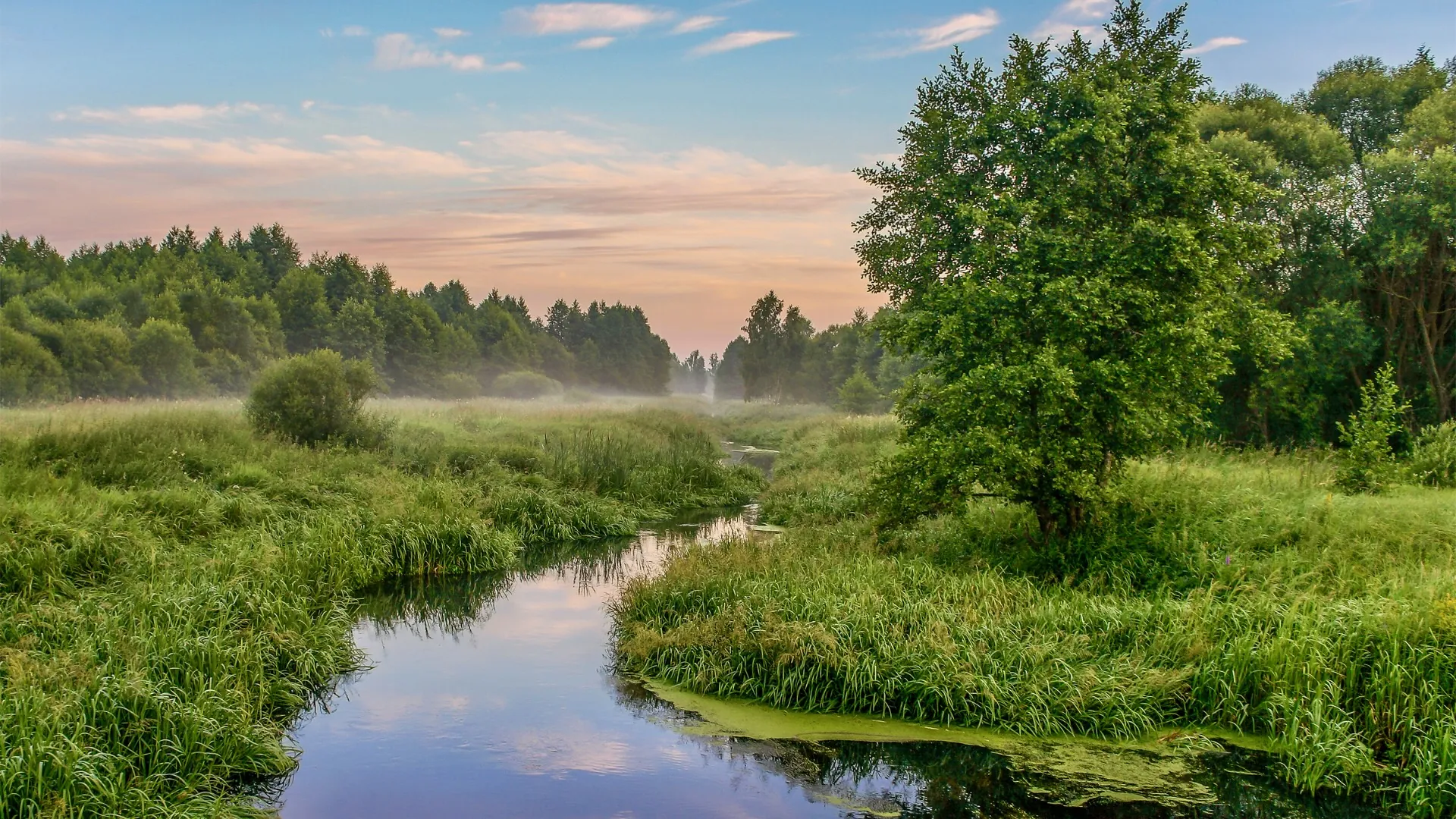 Küldetésünk - Bazsó Méhészet Prémium Magyar Méz