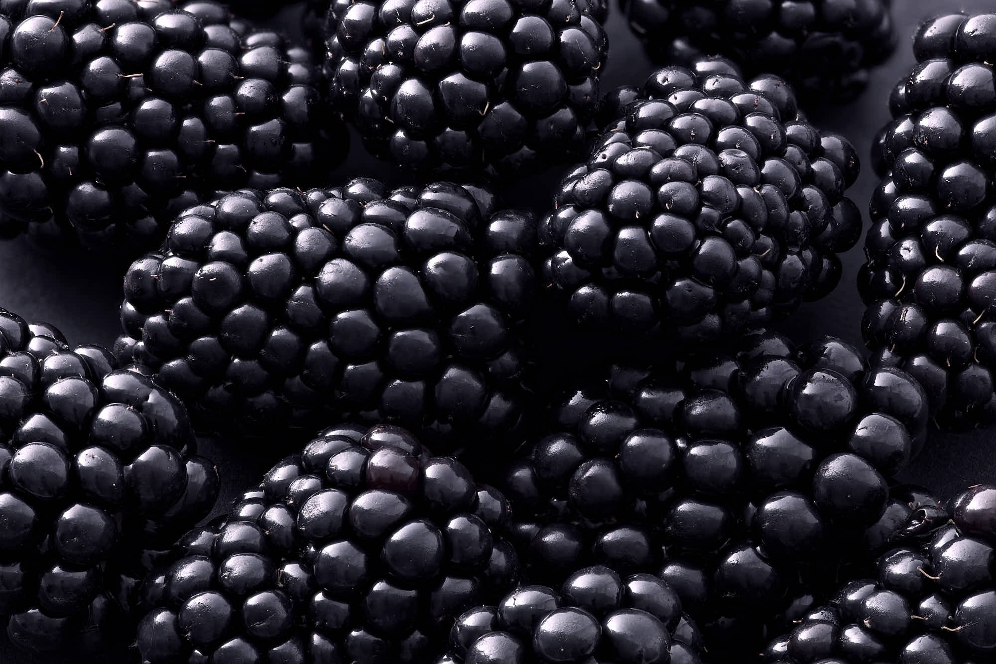 Fresh blackberries close-up, glossy and ripe for summer recipes.