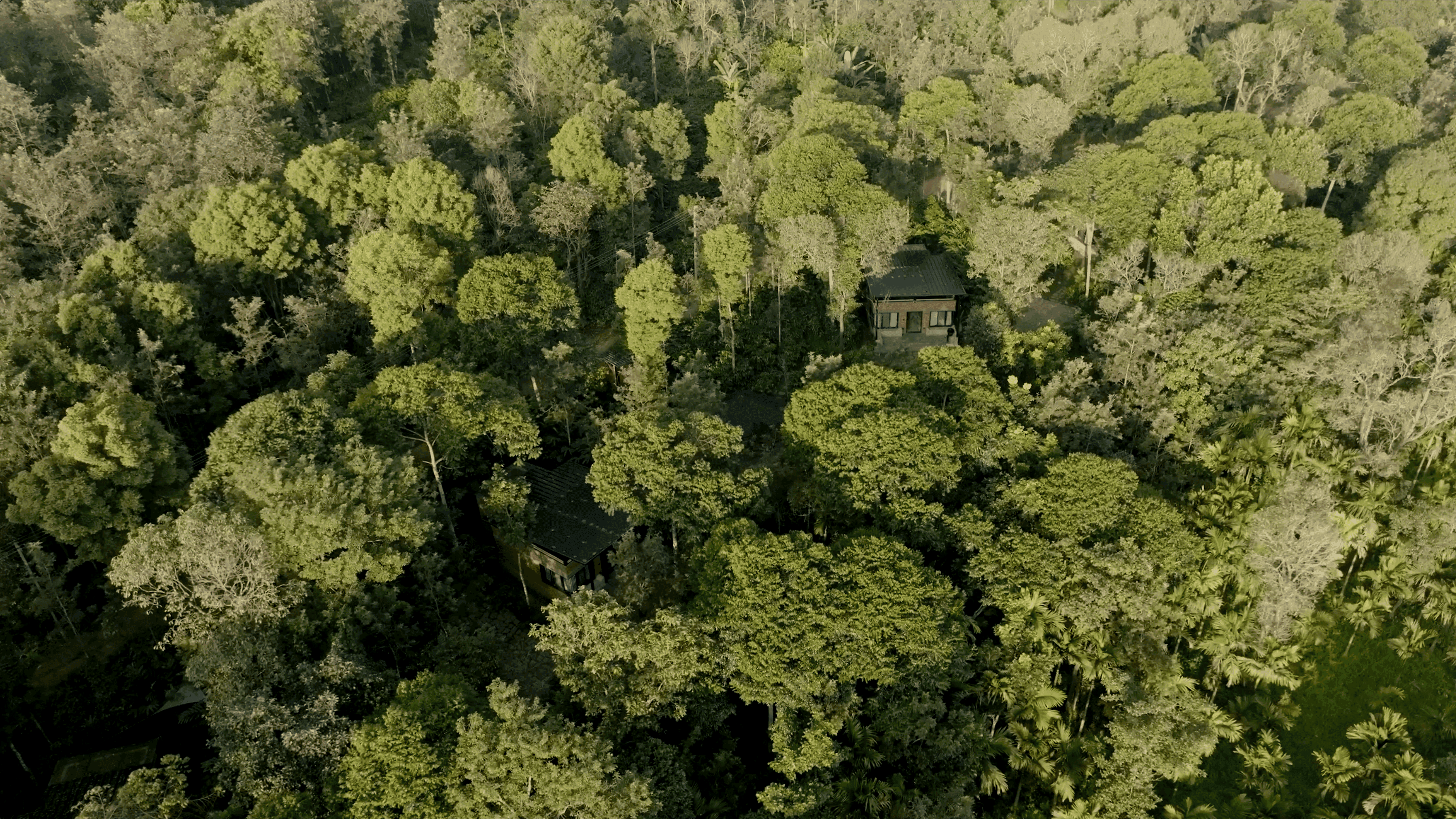 Aerial view of Sannidhi Ecofarms in Karnataka
