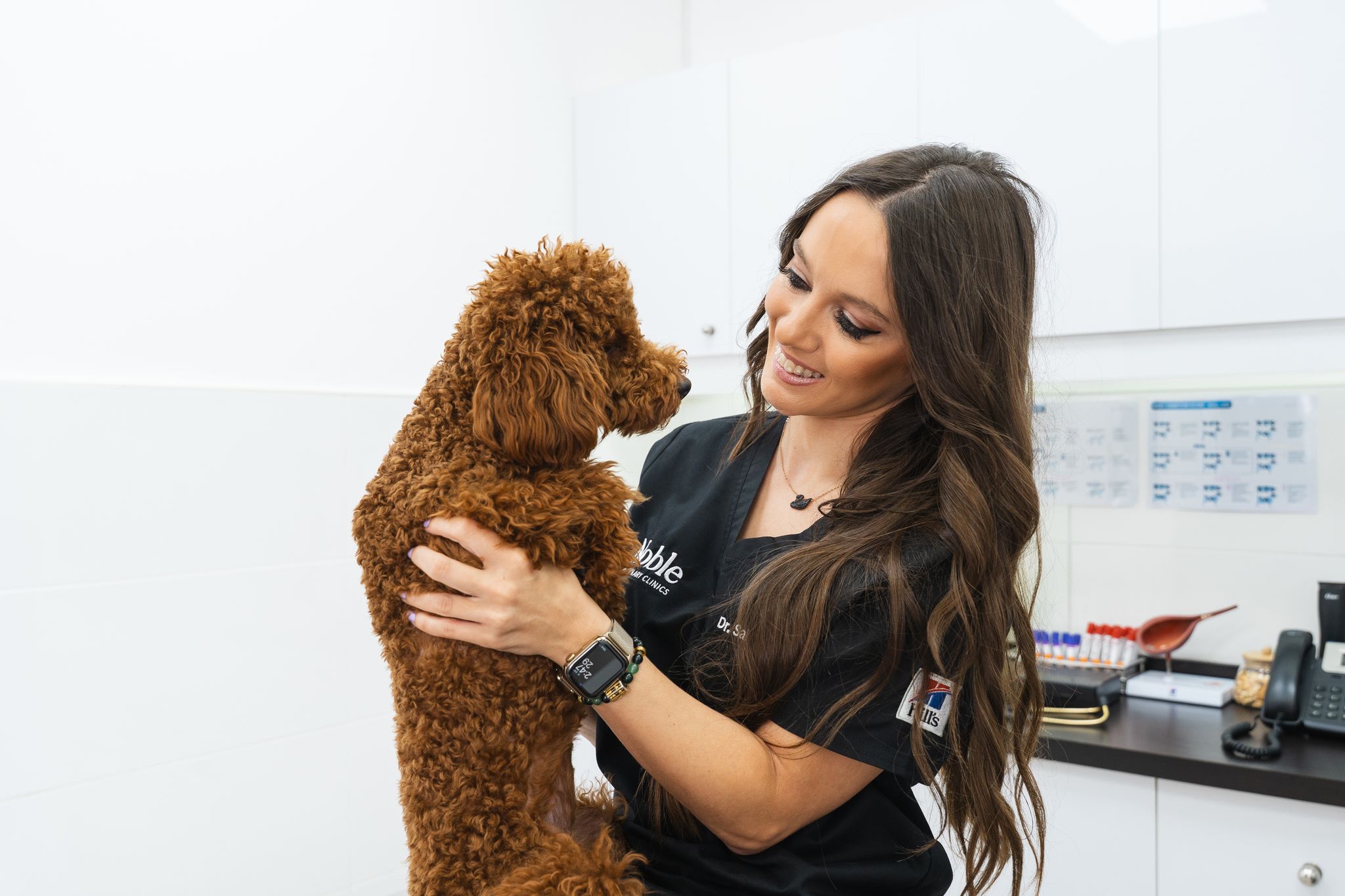 A veterinarian with a black shirt is holding a brown dog during a checkup.