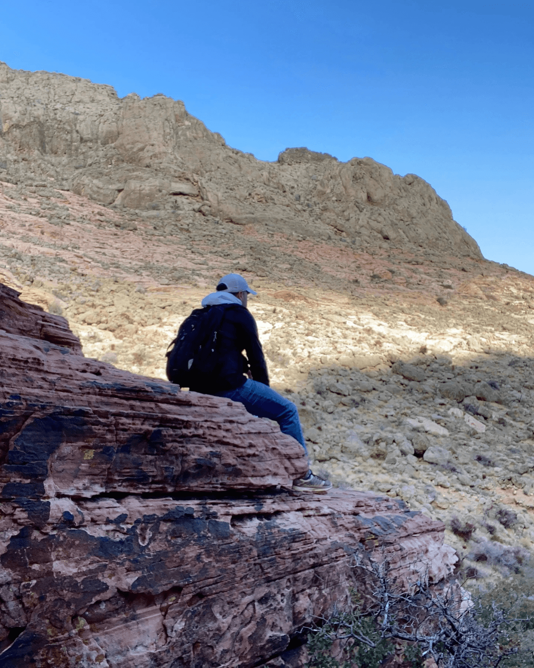 A person with curly hair sits at a desk, working on a laptop in a cozy, well-lit environment.