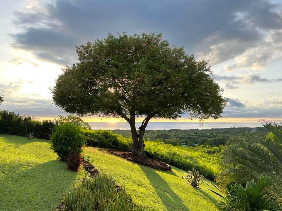 Jardin tropical avec vue sur la mer des Caraïbes depuis le jardin du Lodge Rosewood