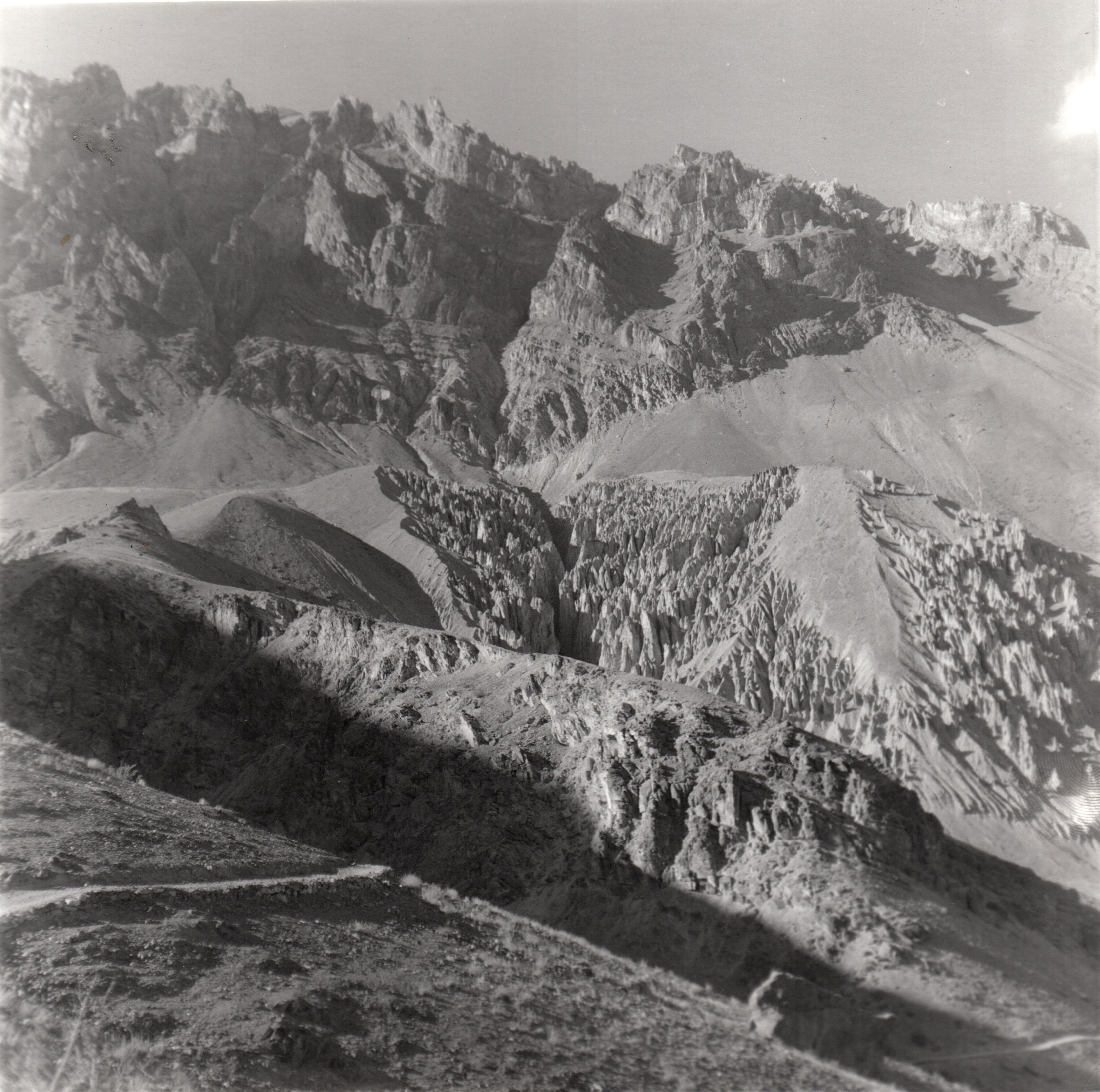 herd of sheep on road painting