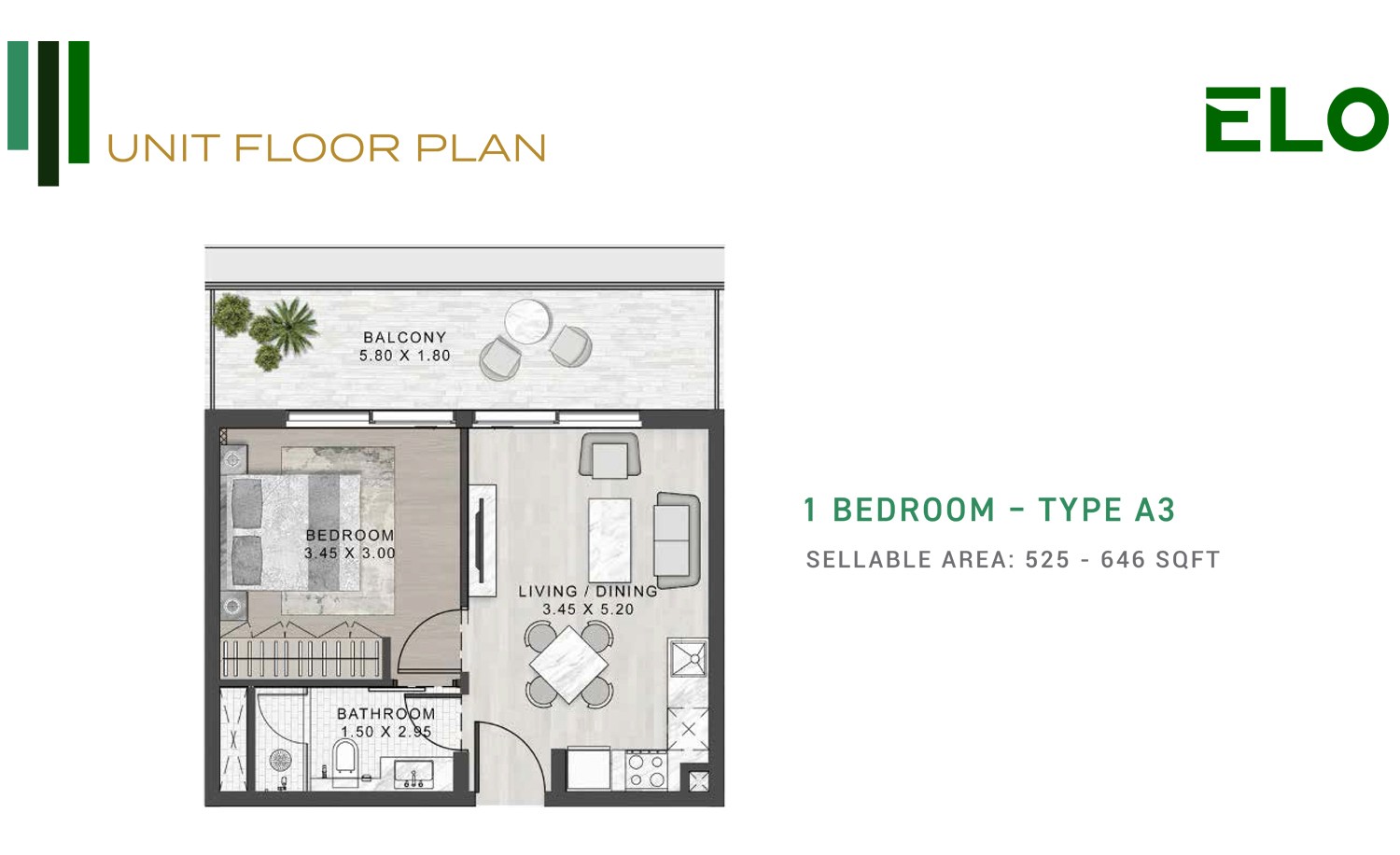 1 Bedroom Apartment