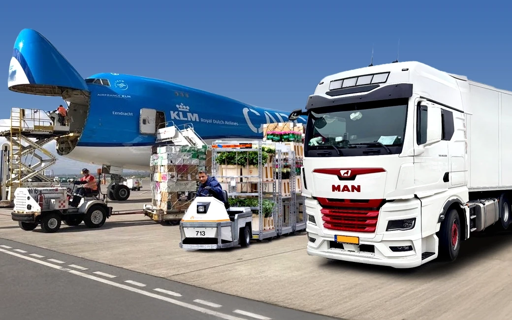 Auction carts at the flower auction