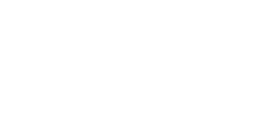 Business Bike