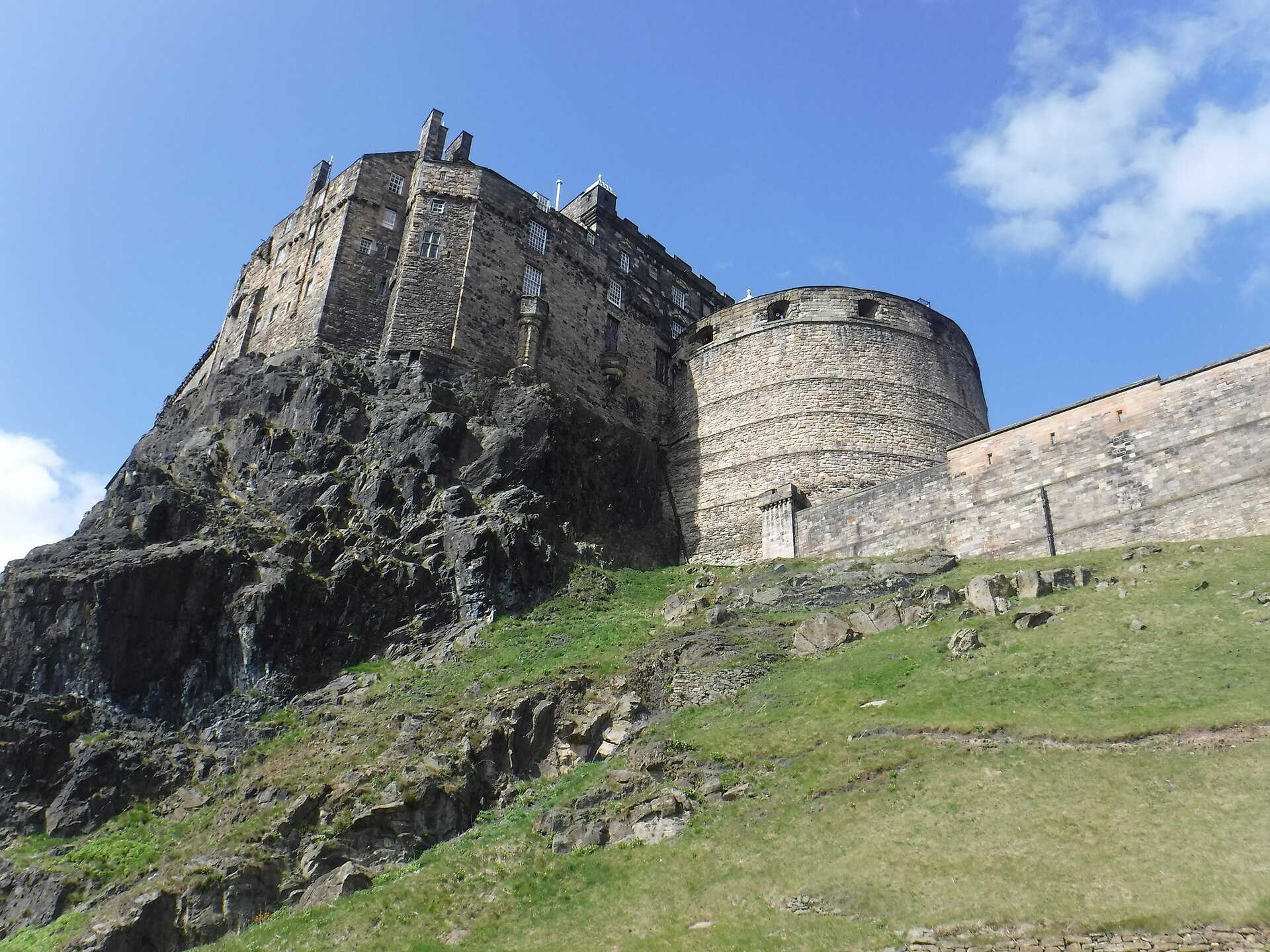 a tree with pink flowers in front of a store