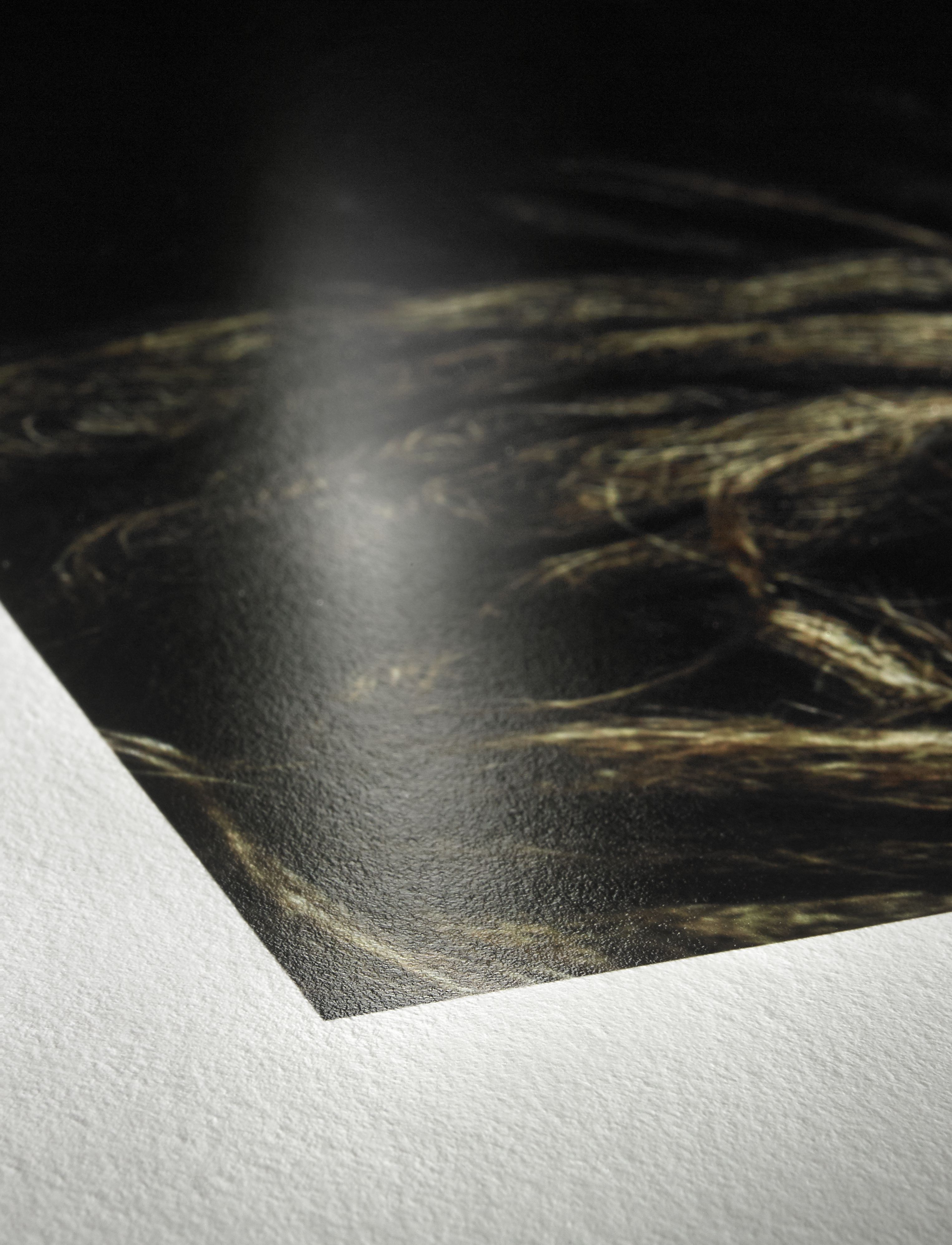 Makrofotografia wydruku na papierze Hahnemühle Photo Rag Baryta z widoczną strukturą powierzchni i detalami włosów