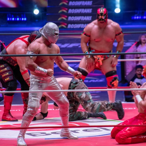 Palabas ng wrestling