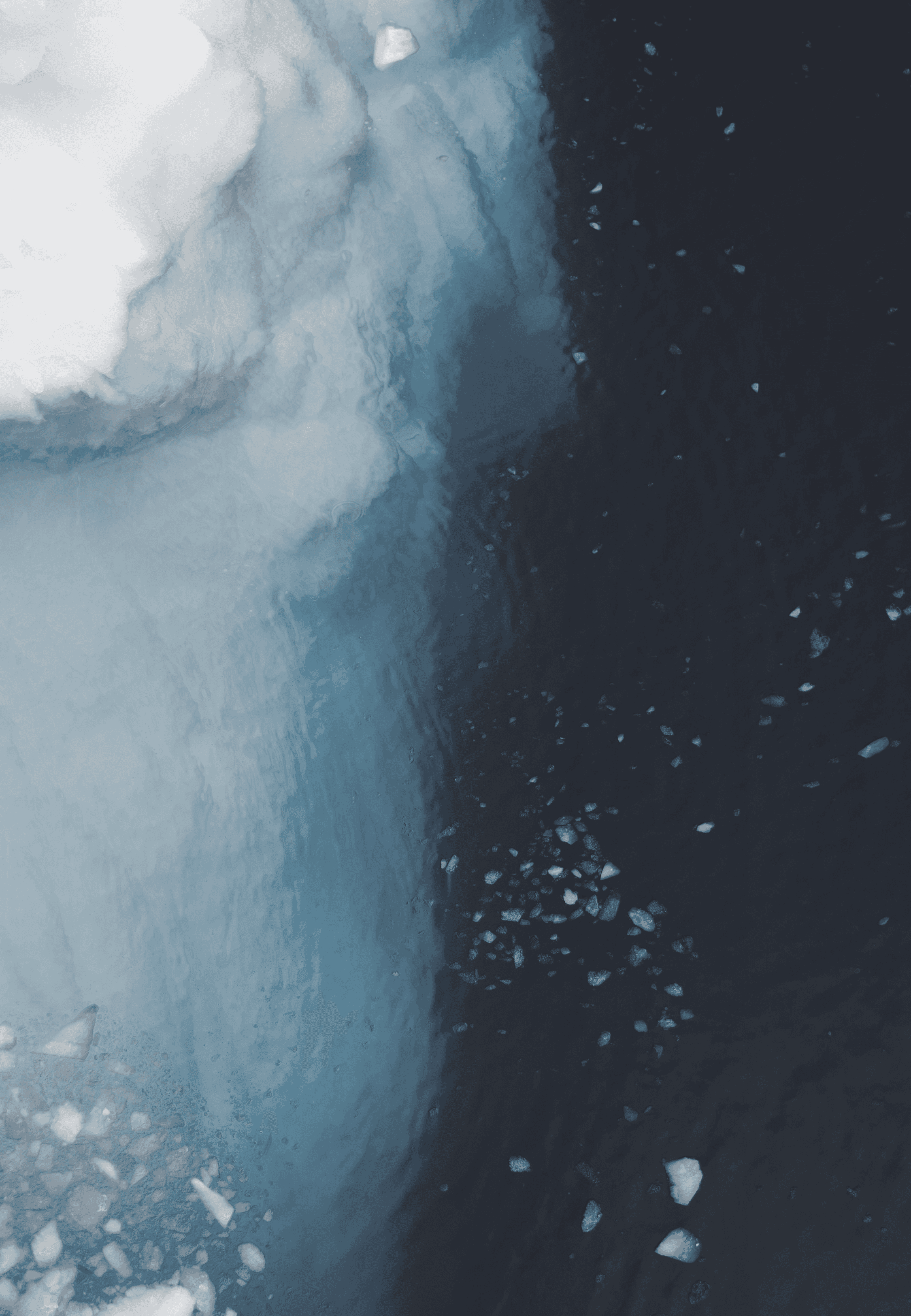 corona extra beer bottle on brown wooden log