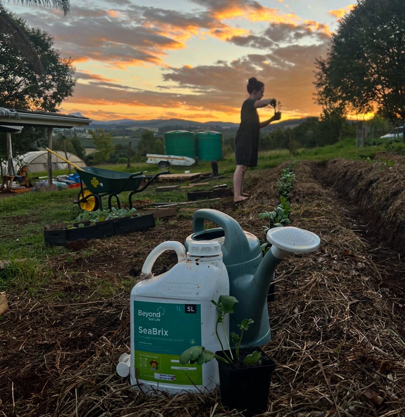 Regenerative Agriculture in South Africa: Resources