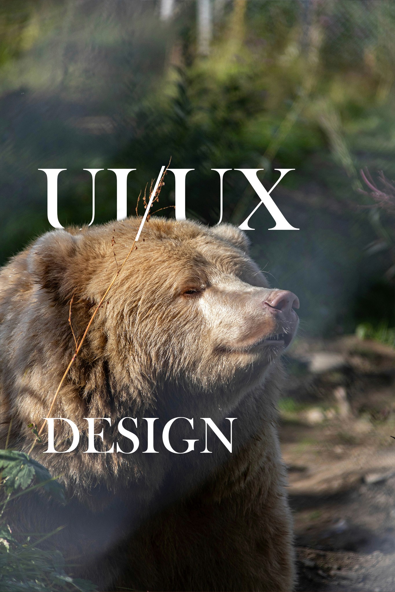 person managing their expenses on a laptop