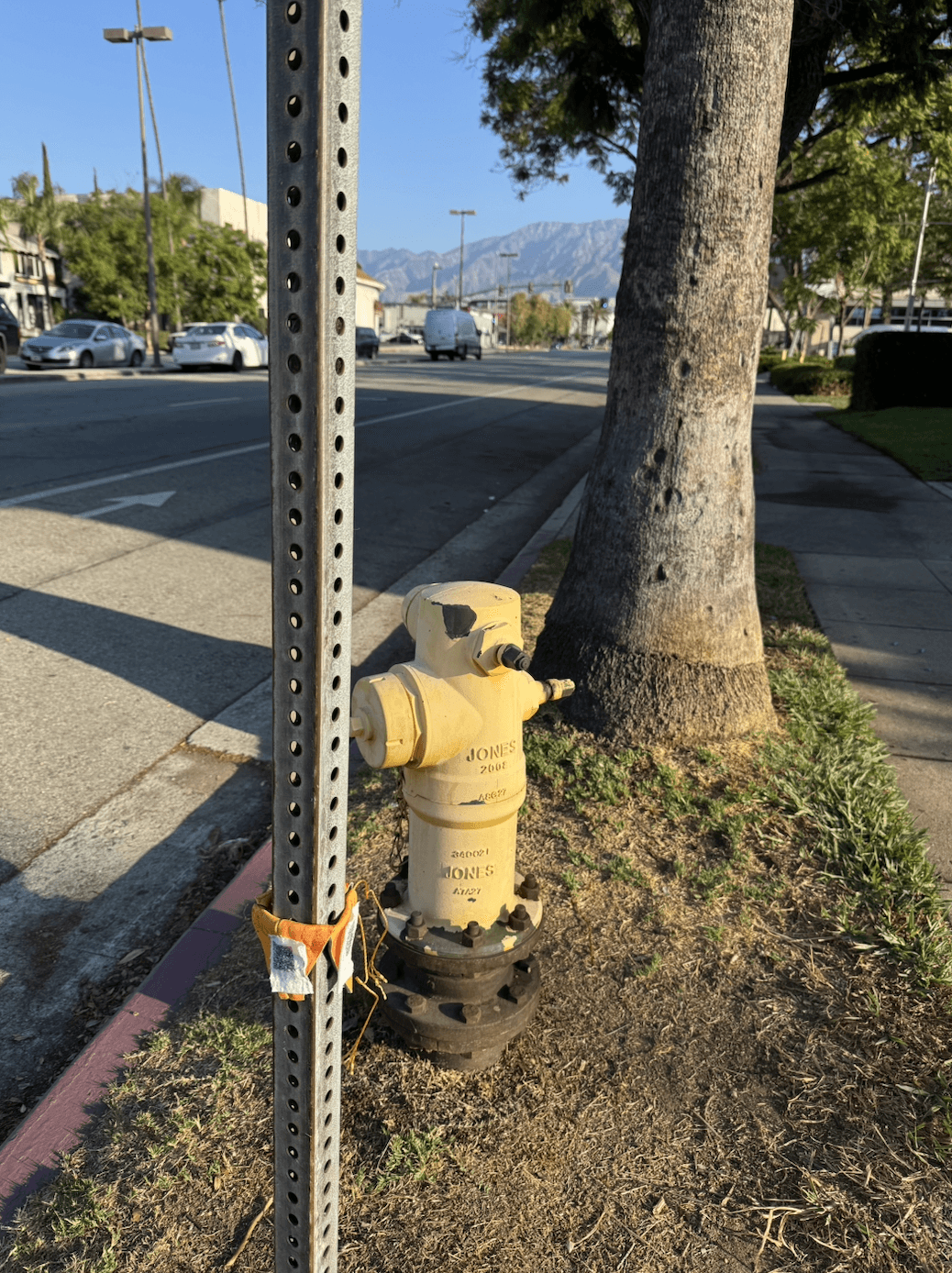 HyperCare!, Mayela Rodriguez, Pasadena, California, USA, uncommissioned, 2025